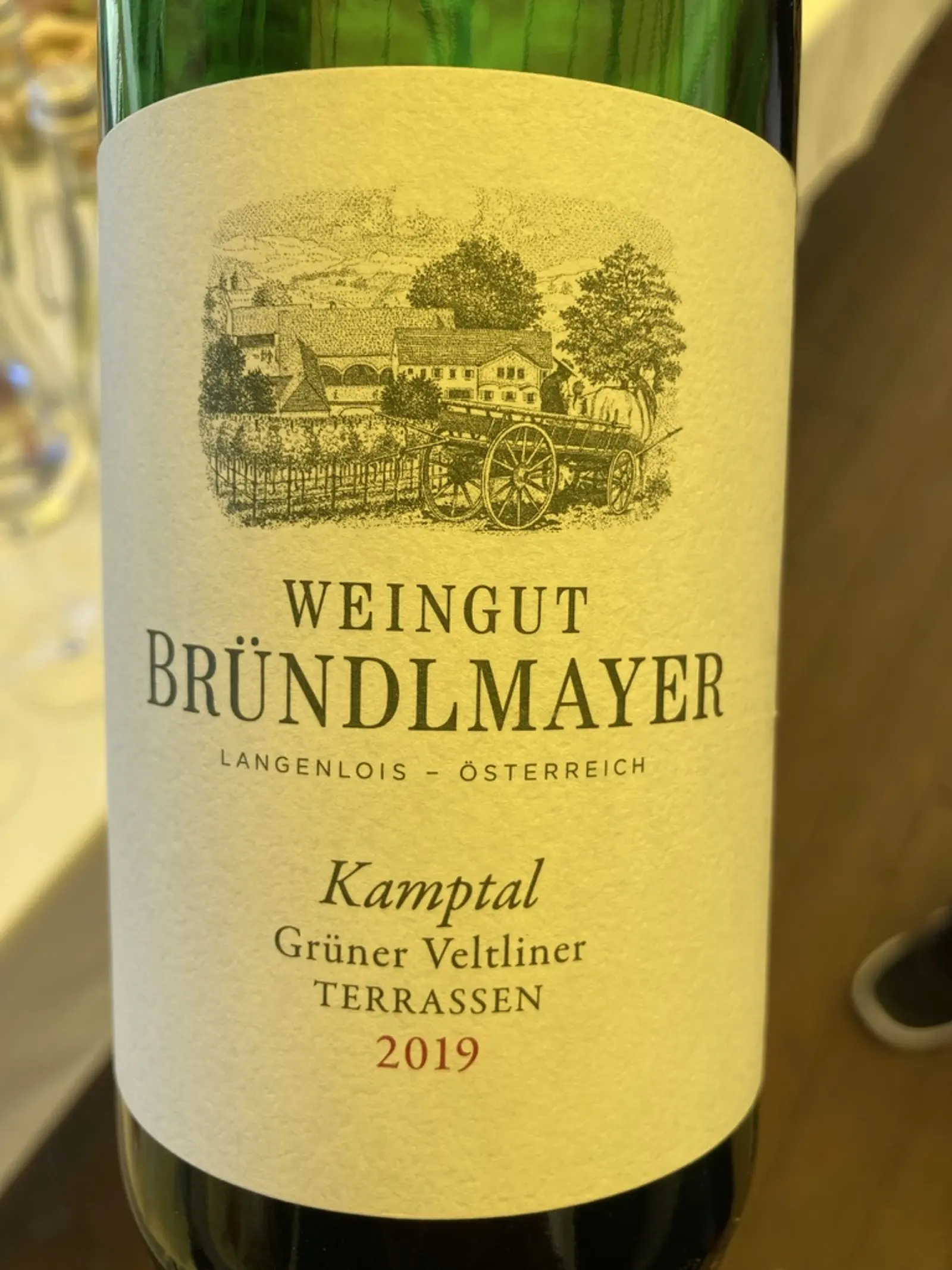 Weingut Bründlmayer Grüner Veltliner Kamptaler Terrassen 2019