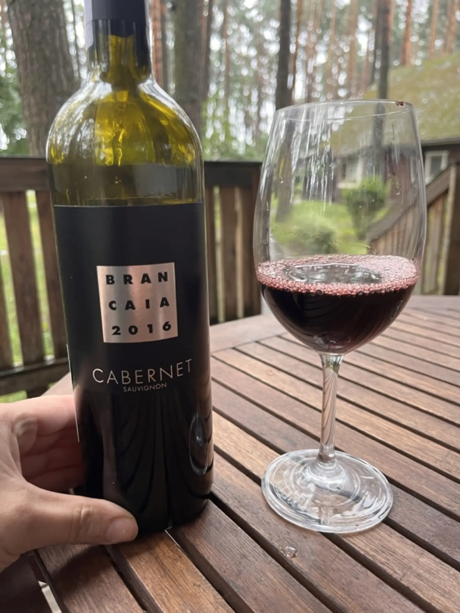 Brancaia Cabernet Sauvignon 2016