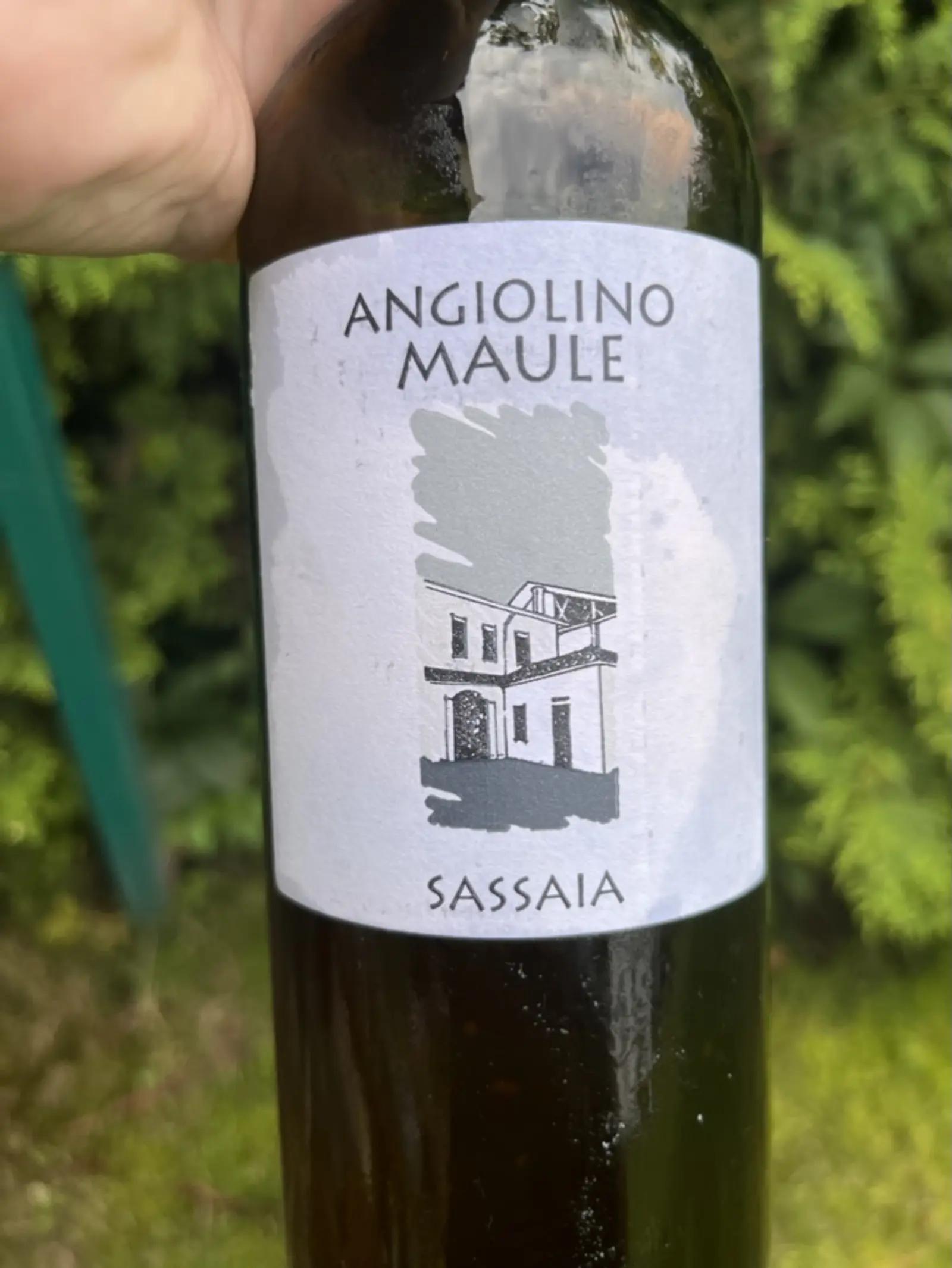 La Biancara Sassaia 2019