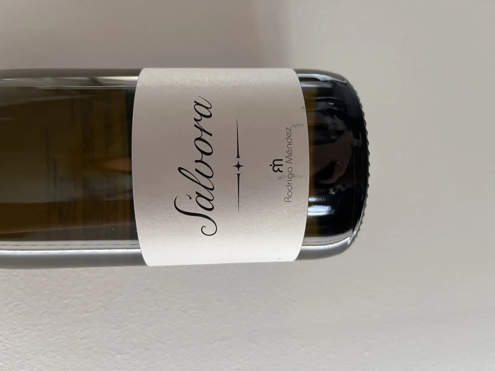 Rodrigo Méndez Sálvora 2017