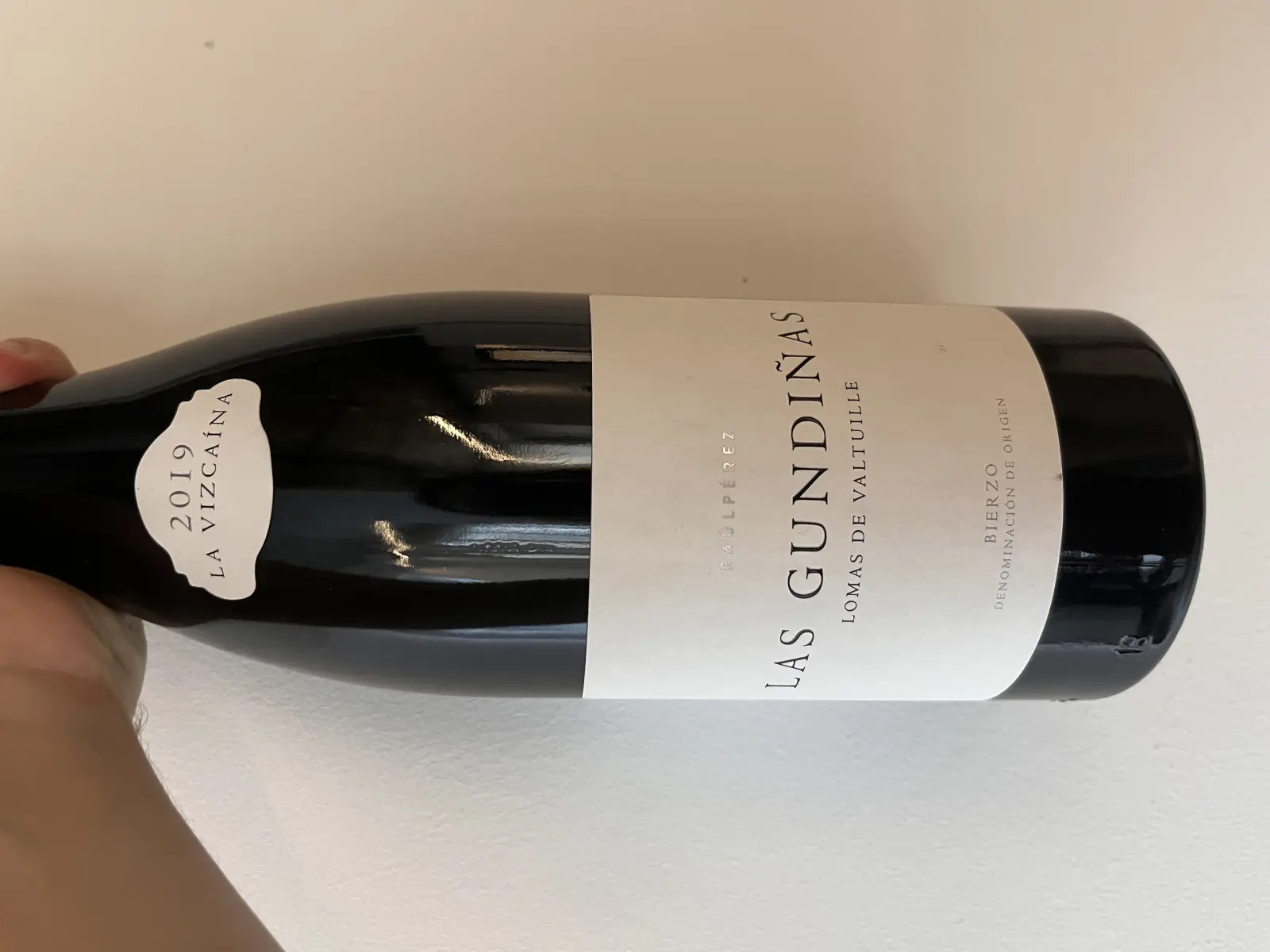 Raúl Pérez La Vizcaína Las Gundiñas Lomas de Valtuille 2019