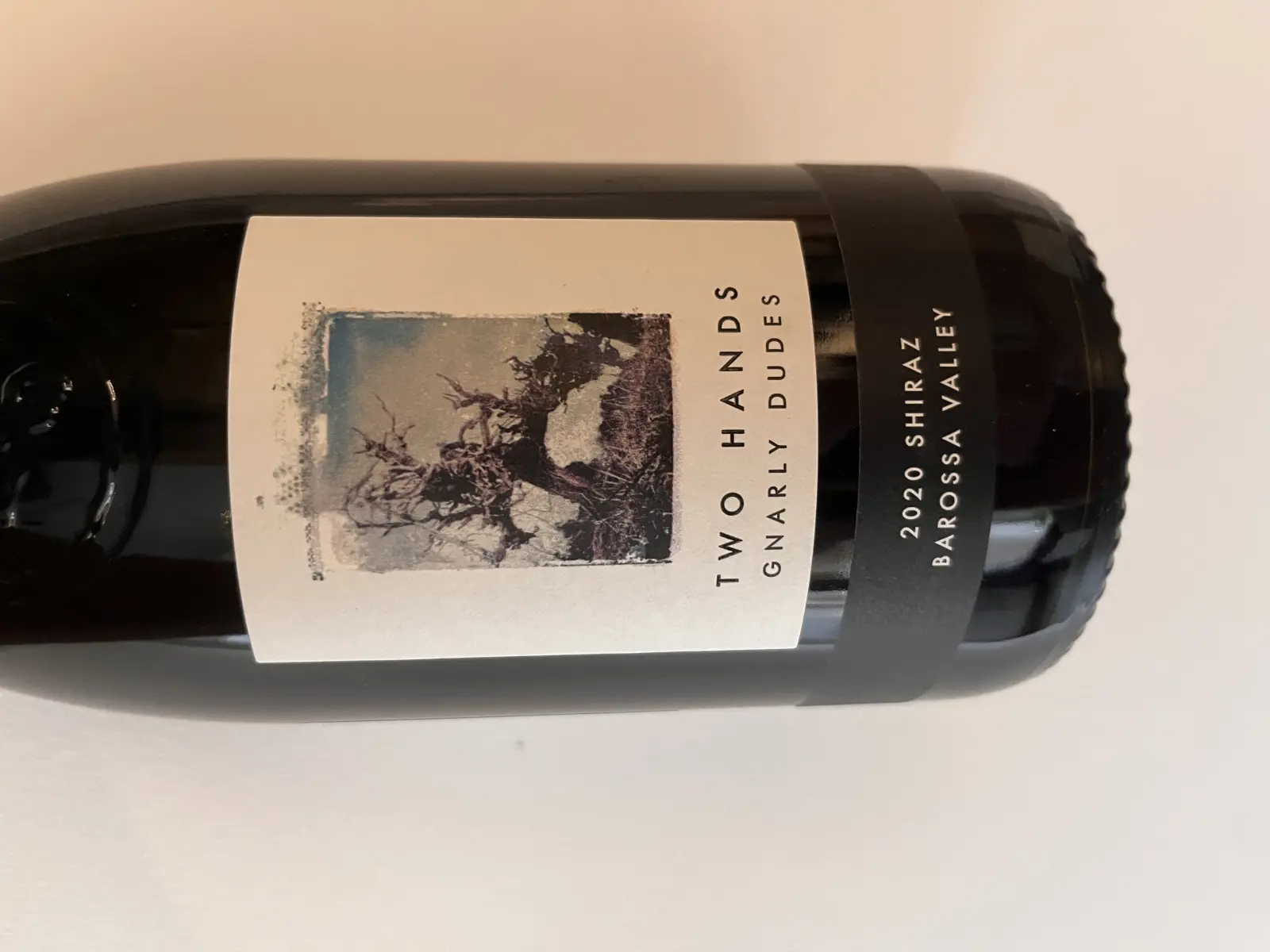 Two Hands Gnarly Dudes 2020