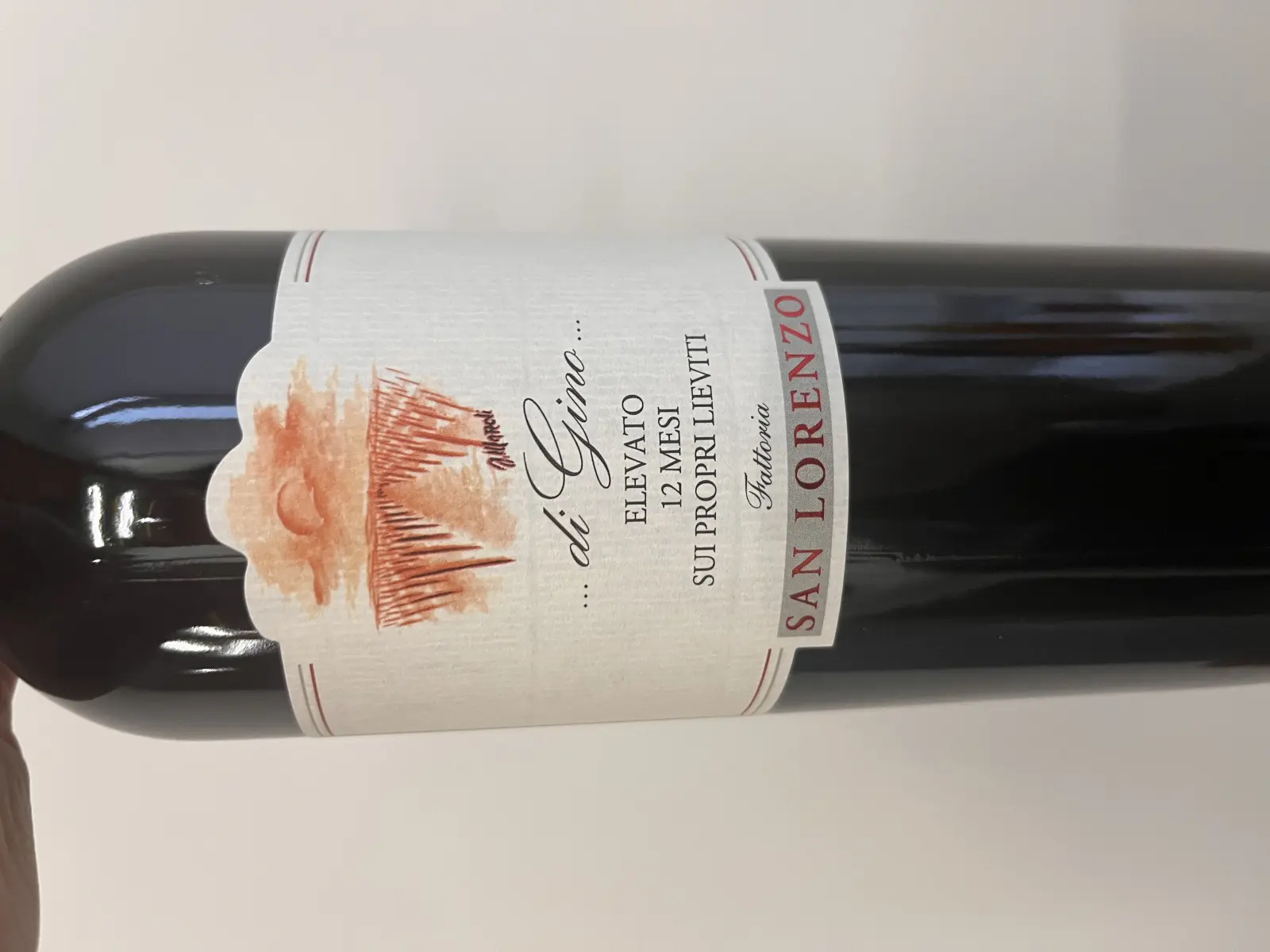 Fattoria San Lorenzo Marche Rosso di Gino 2020