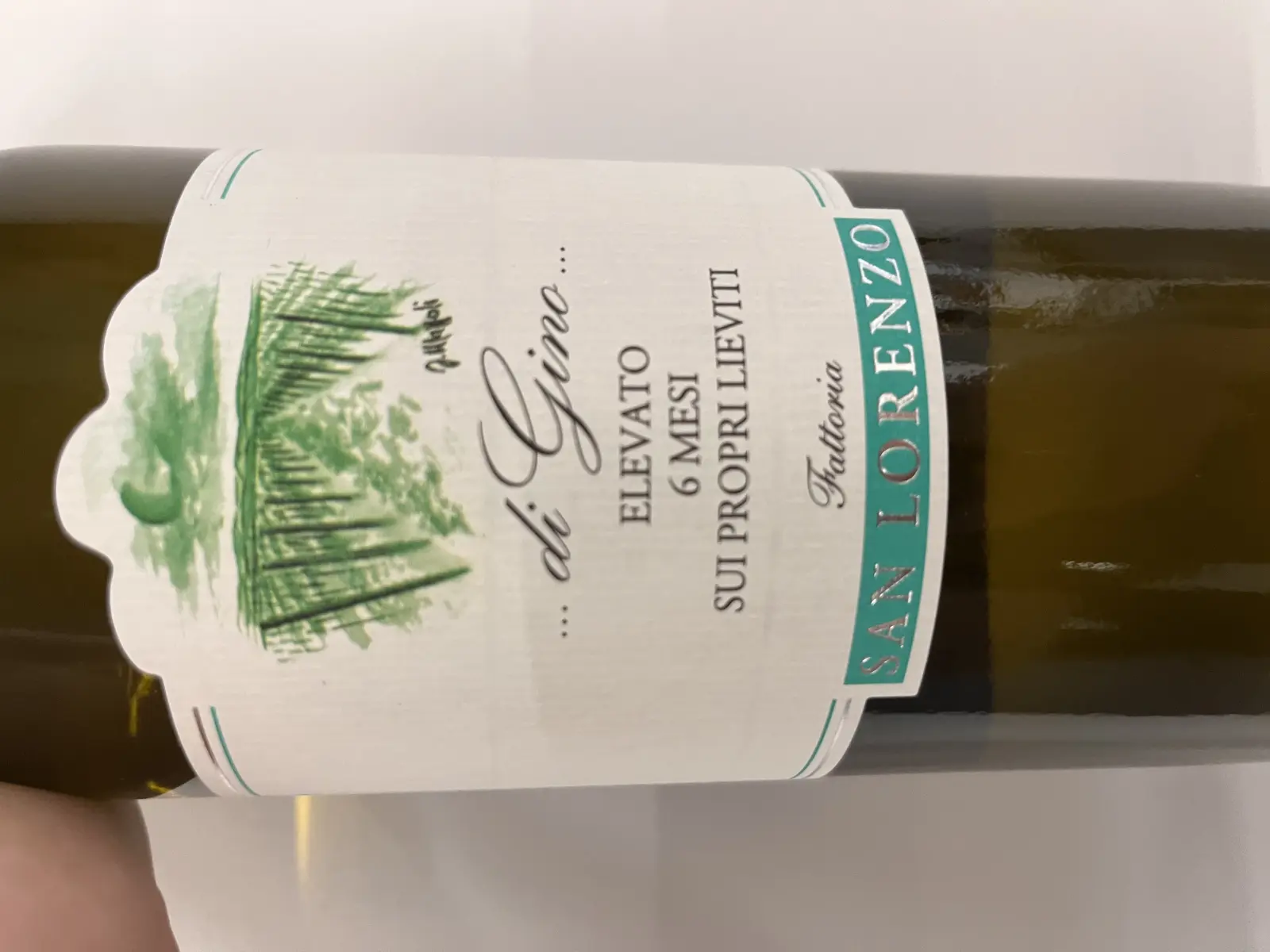 Fattoria San Lorenzo Marche Bianco di Gino 2021