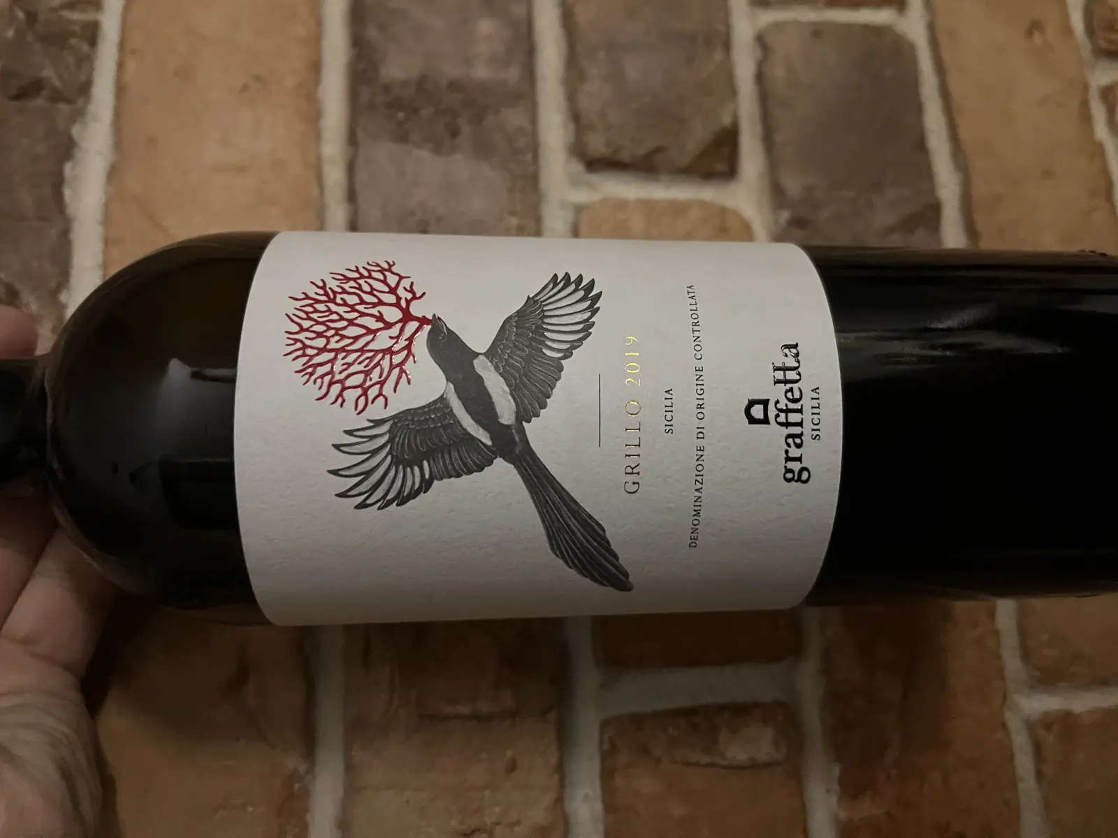 Graffetta Grillo 2019