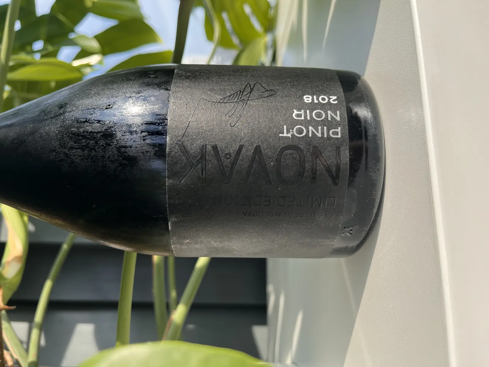 Novak Black Label Pinot Noir 2018