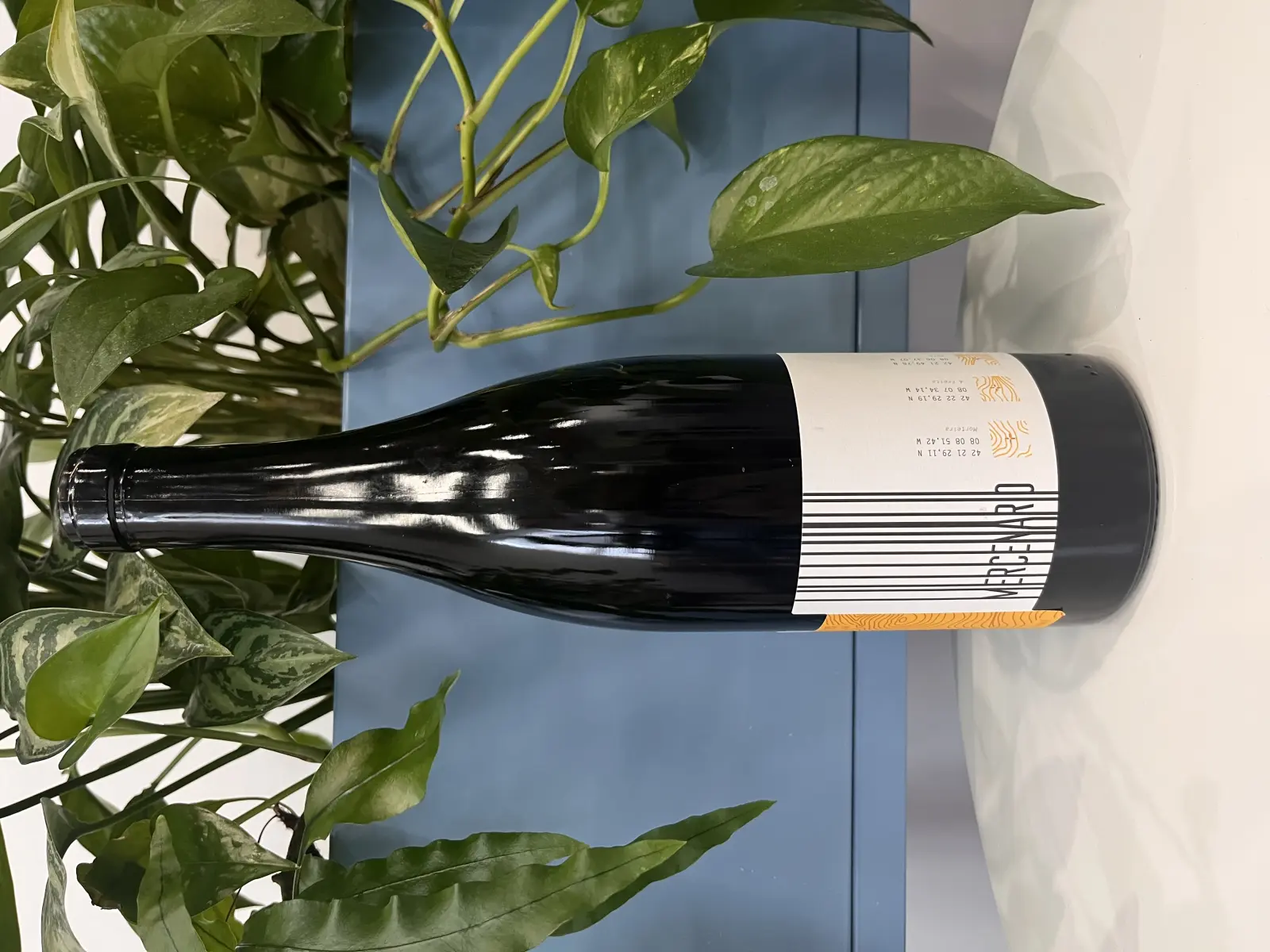 Fazenda Agricola Augalevada Mercenario branco 2021