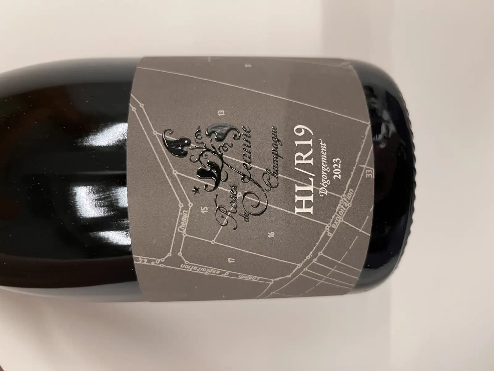 Roses de Jeanne Haute Lemble HL/R19 2019