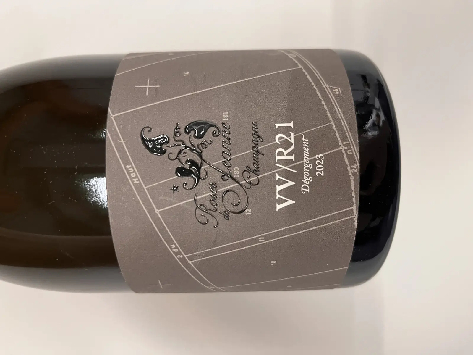 Roses de Jeanne Val Vilaine VV/R21 2021