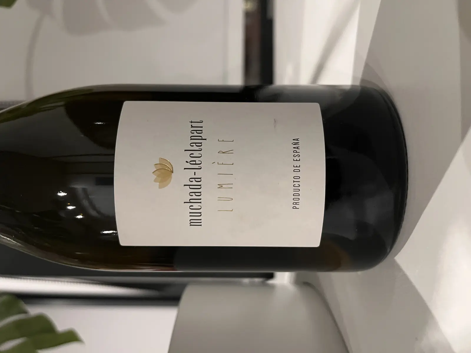 Muchada-Léclapart Lumière 2017