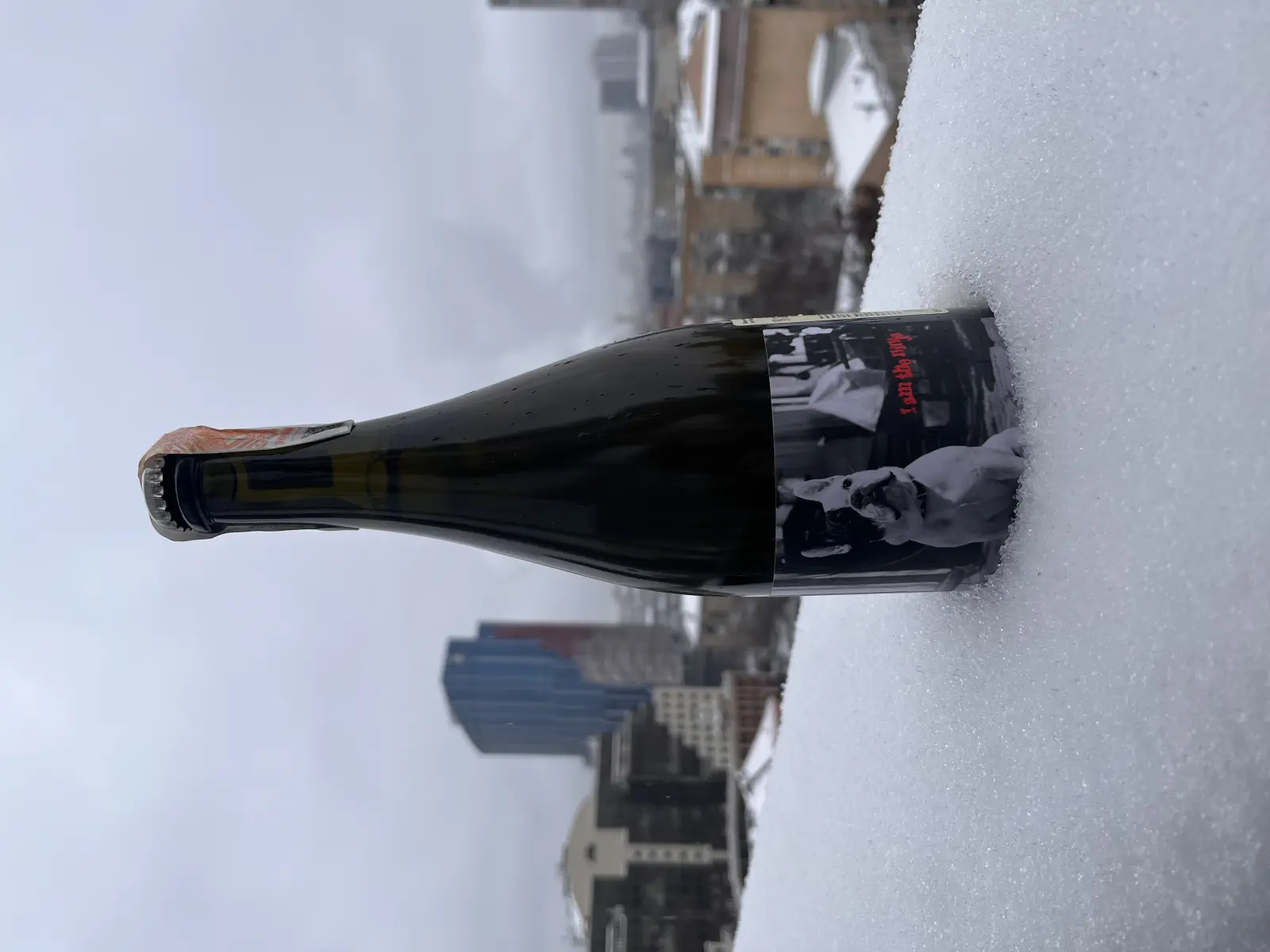 Testalonga El Bandito I am the Ninja 2022