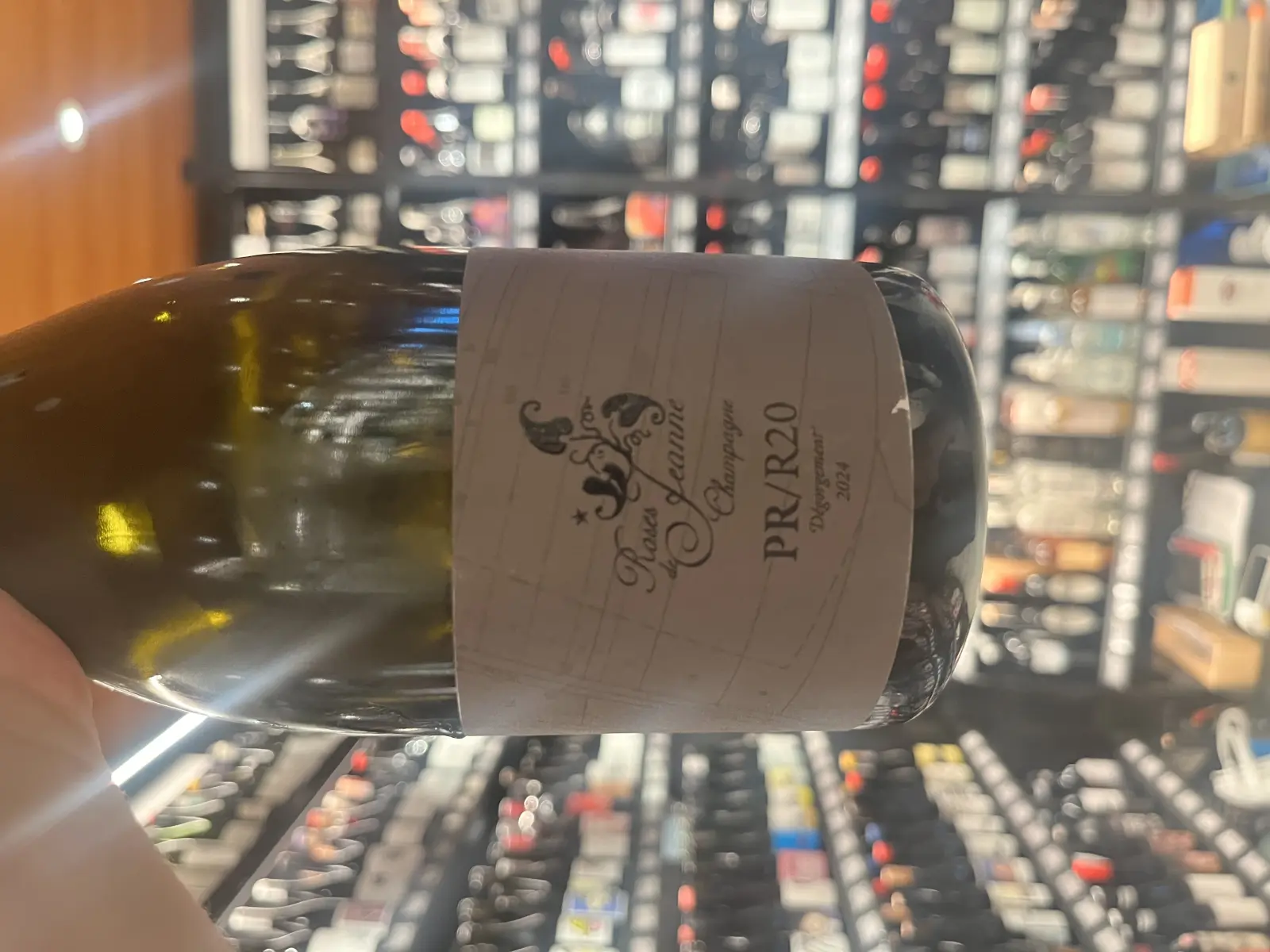 Roses de Jeanne Presle PR/R20 2020