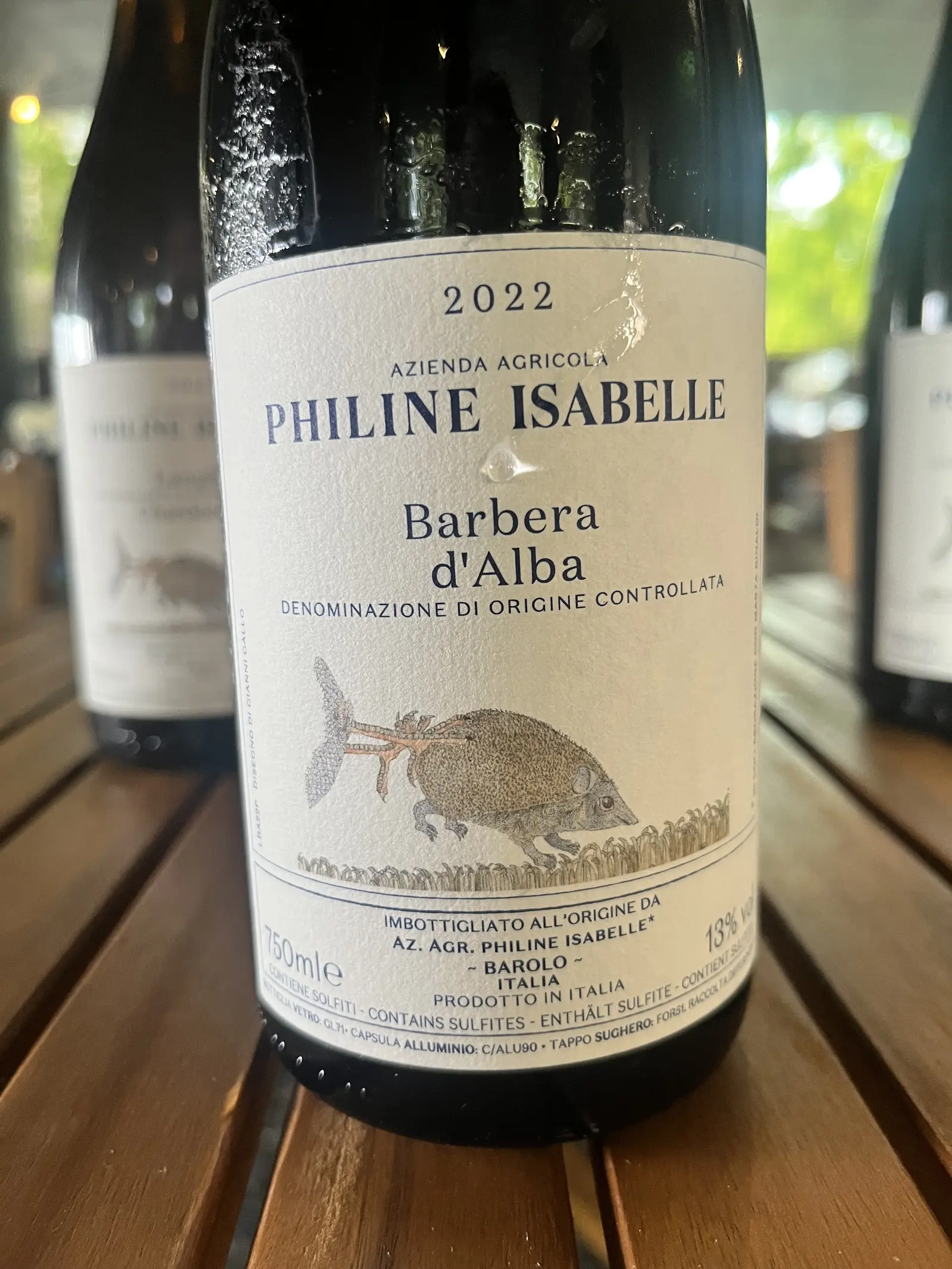 Philine Isabelle Barbera d'Alba 2022