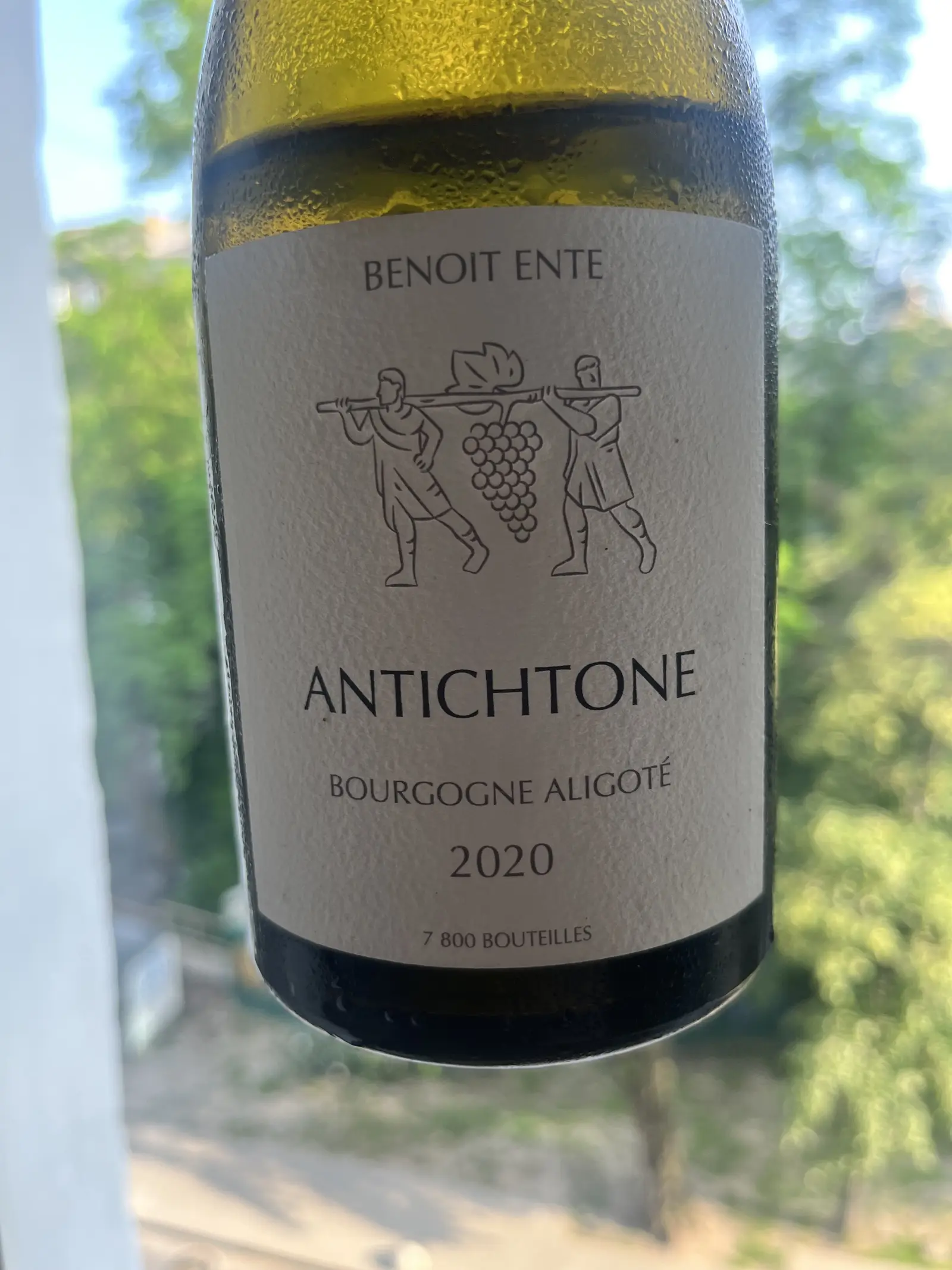 Benoit Ente Antichtone 2020