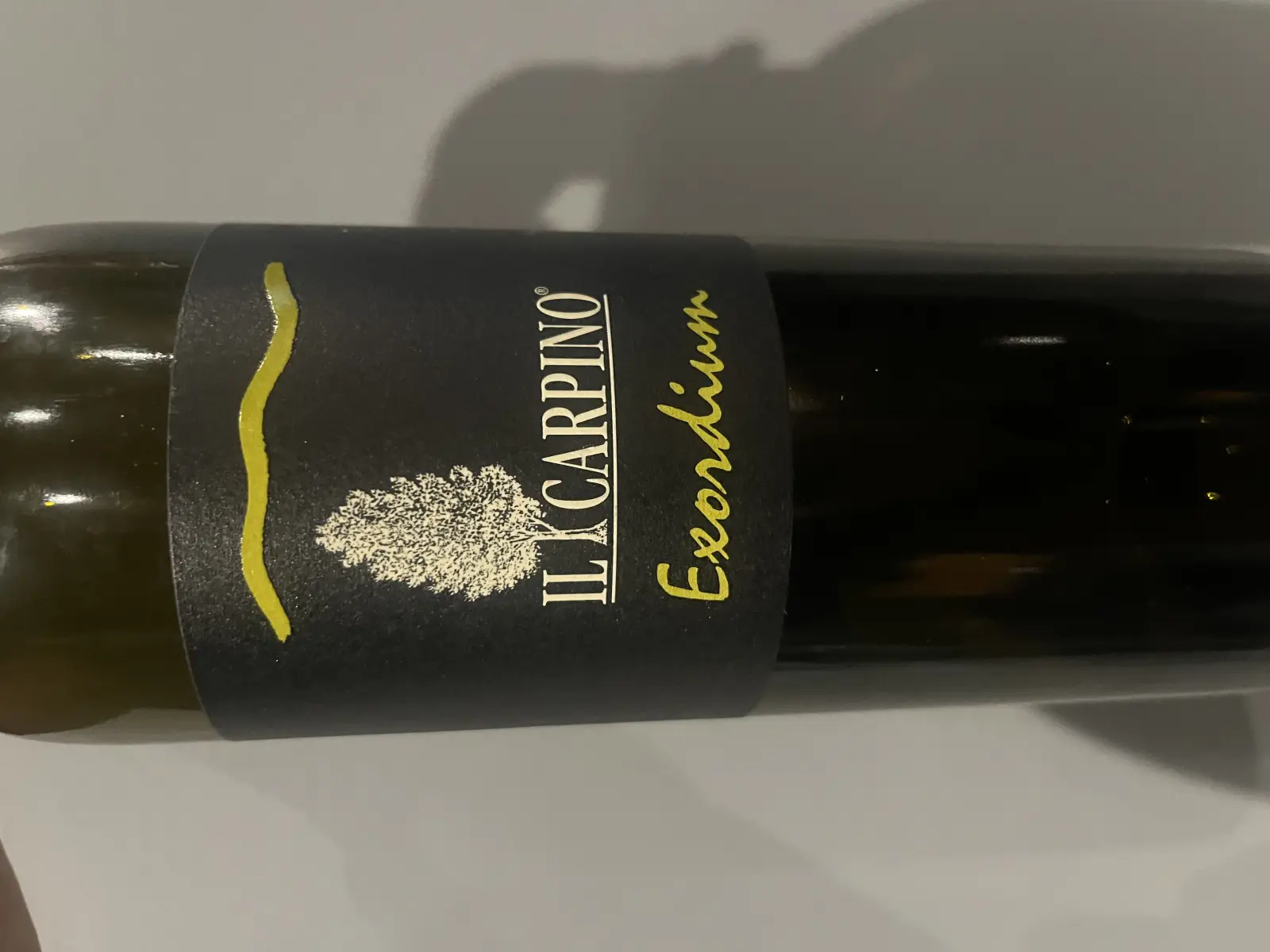 Il Carpino Exordium 2008