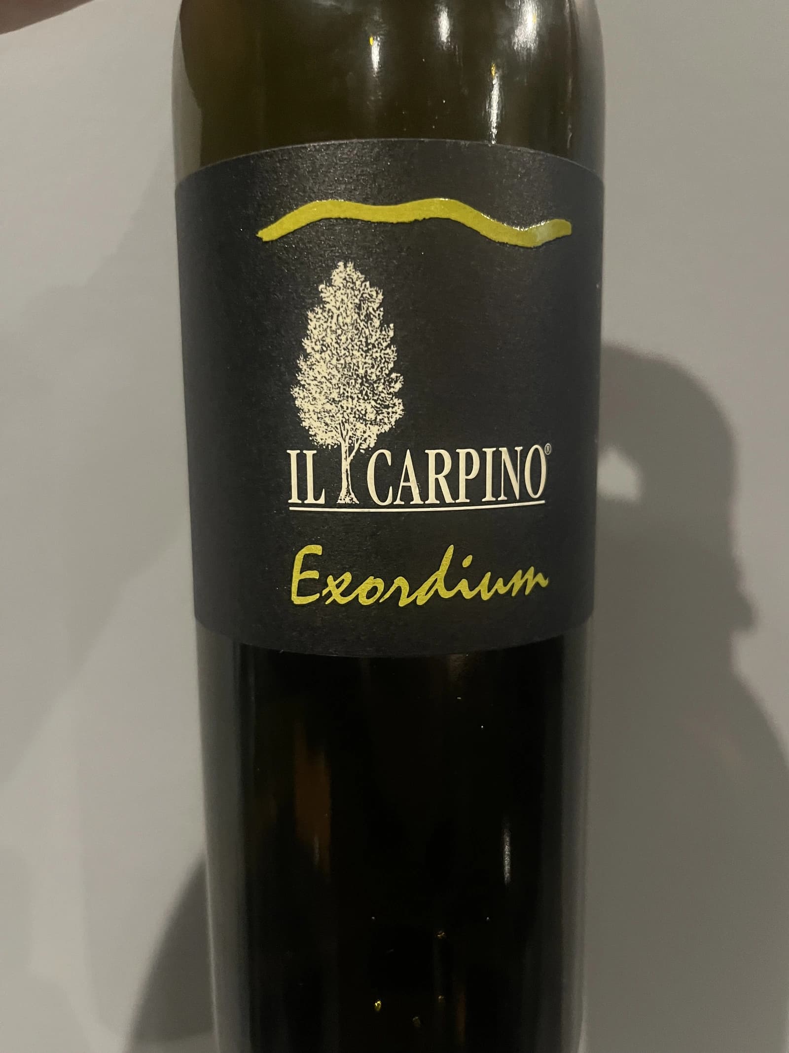 Il Carpino Exordium 2008