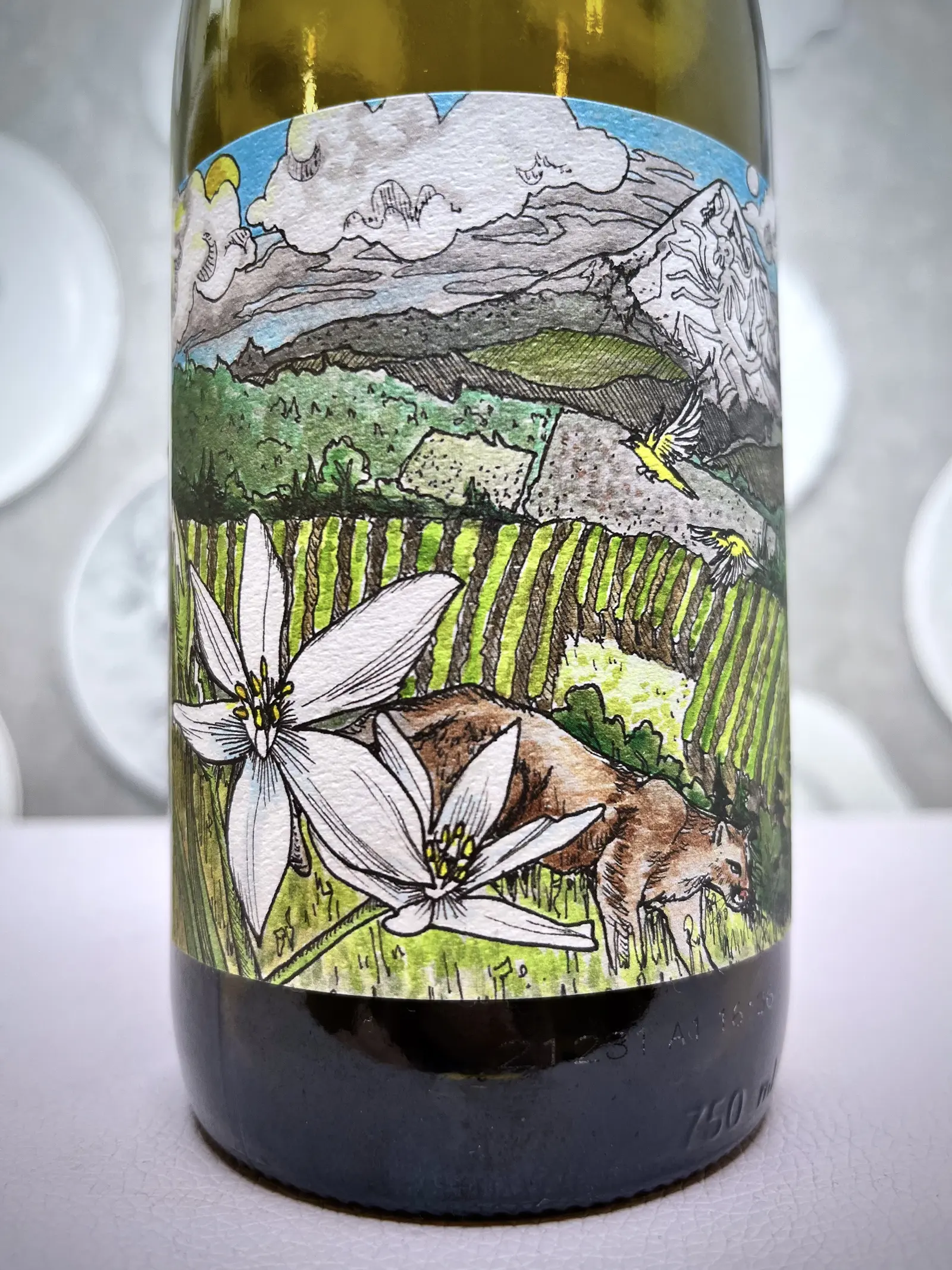 Kelley Fox Wines Mirabai Pinot Noir 2021