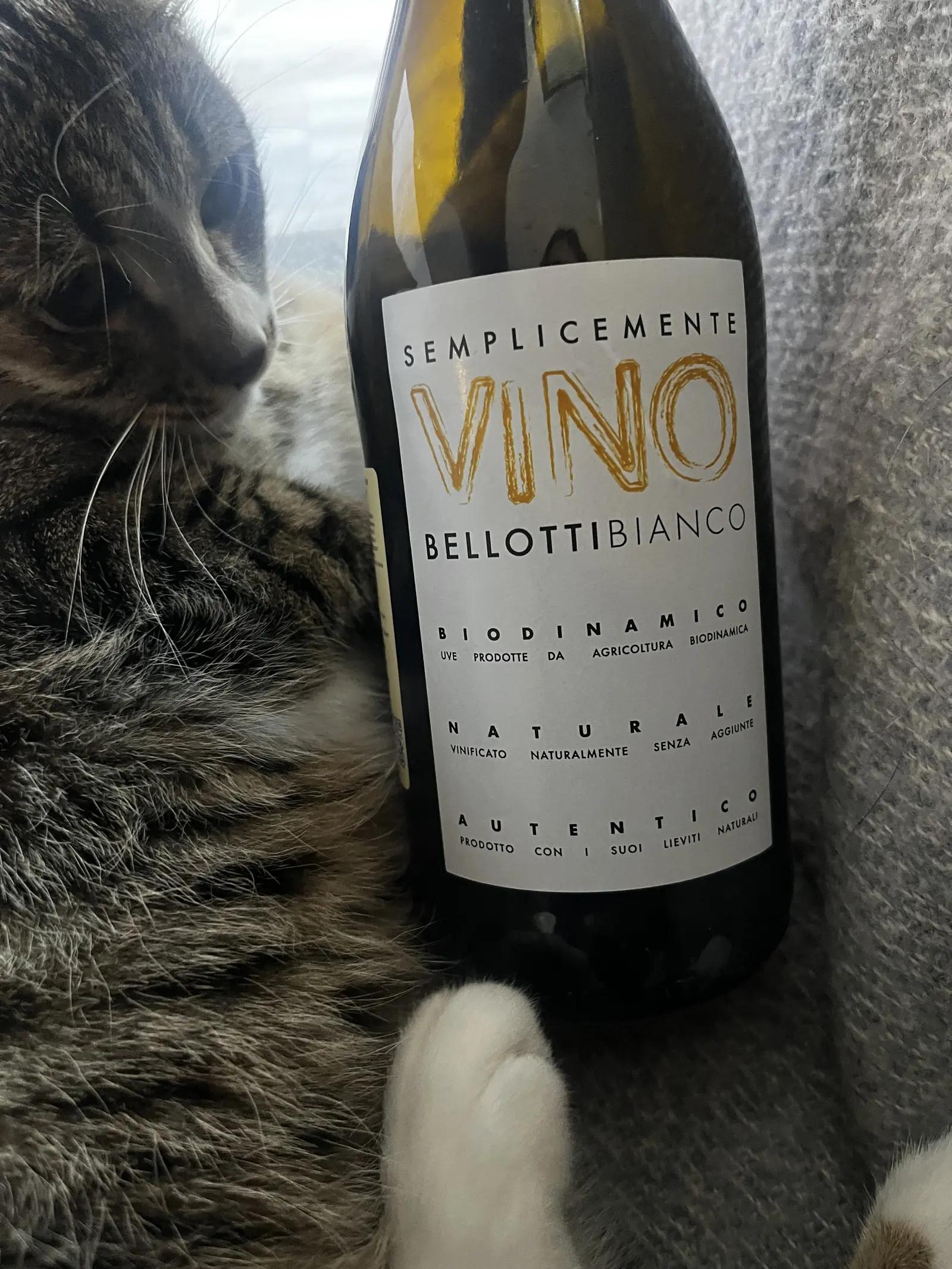 Cascina Degli Ulivi Semplicemente Bellotti Bianco 2024