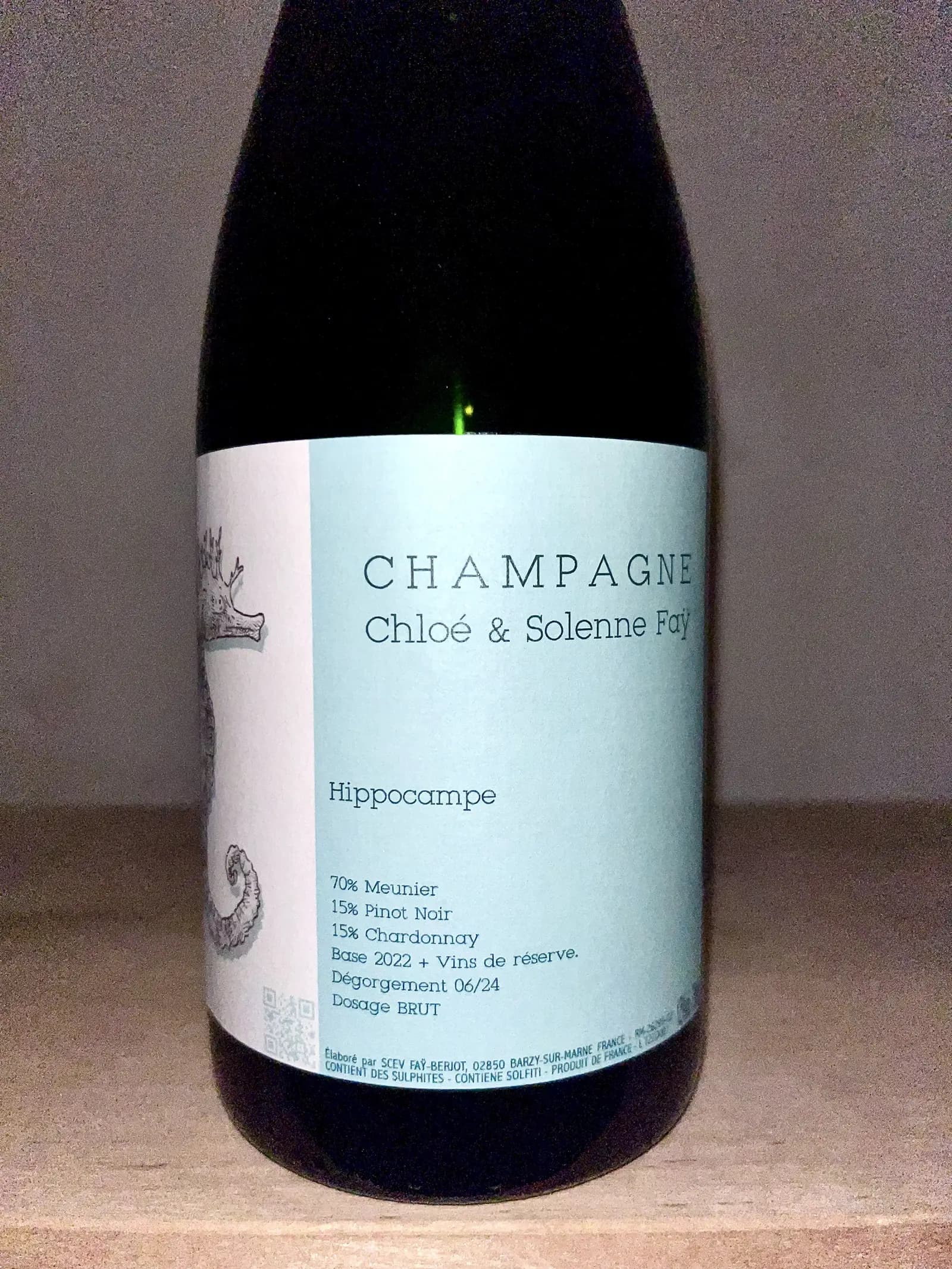 Chloé & Solenne Faÿ Hippocampe (2022) NV