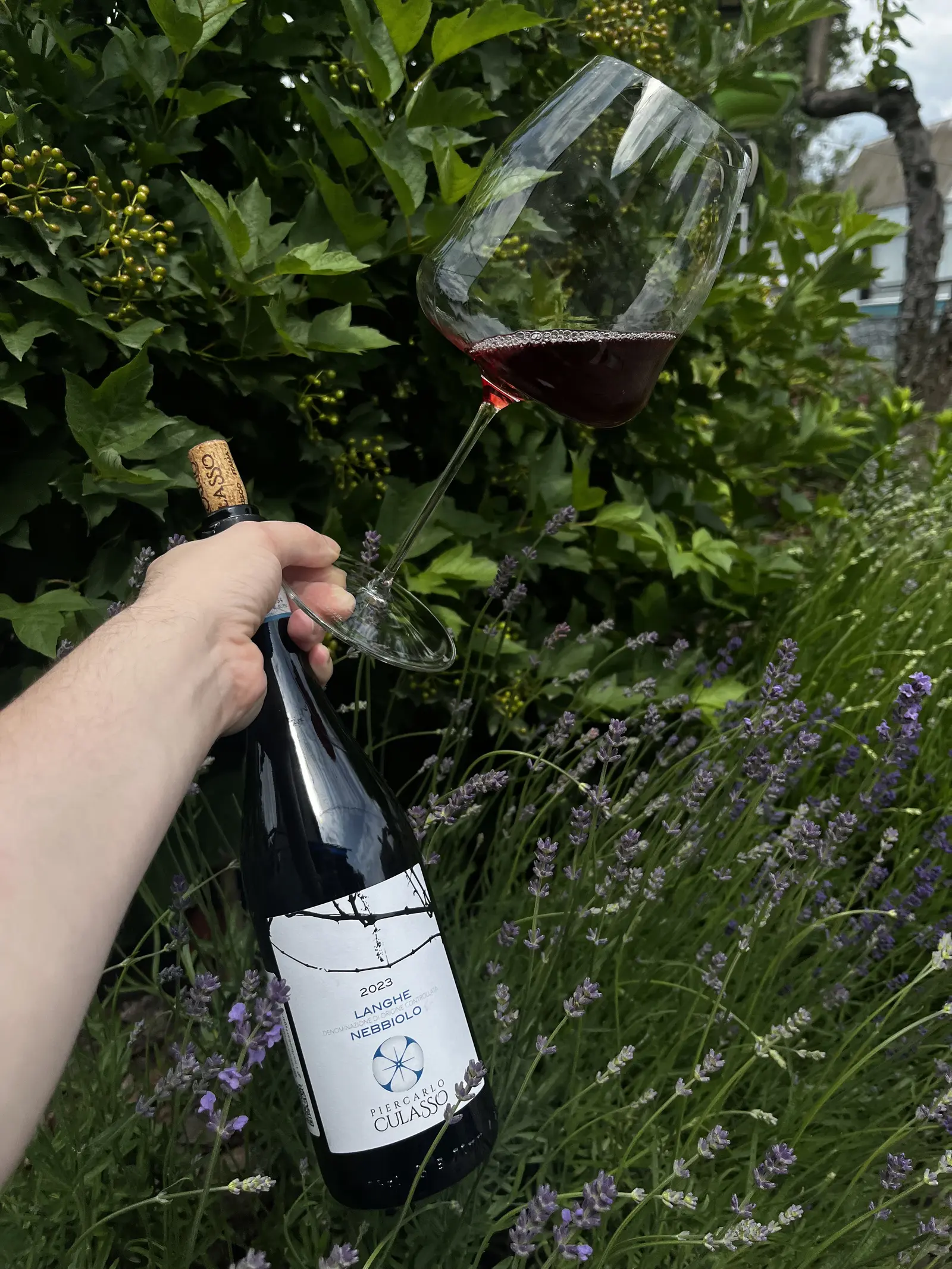 Piercarlo Culasso Langhe Nebbiolo 2023