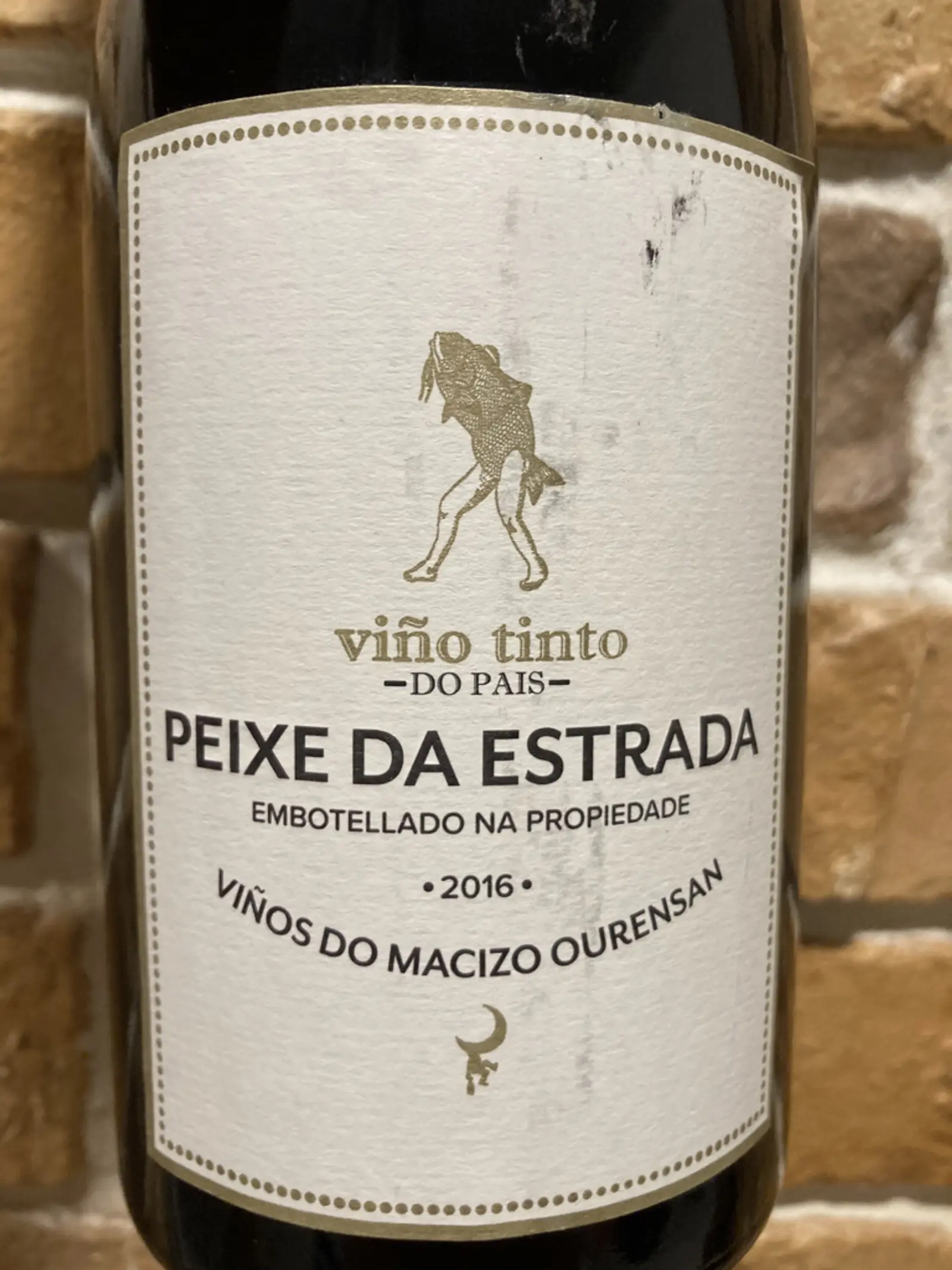 Peixes Da Estrada 2016