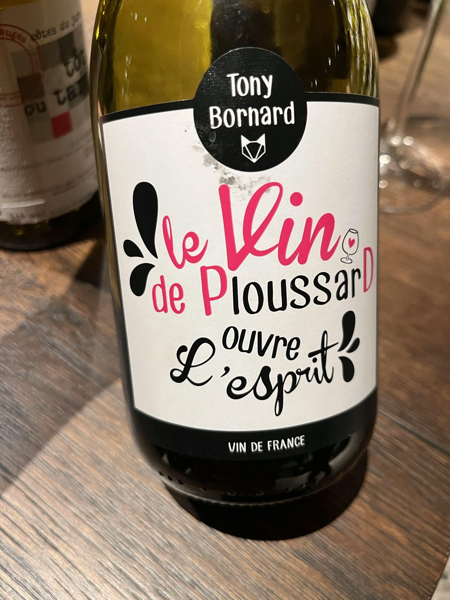 Tony Bornard le Vin de Ploussard ouvre L'esprit 2018