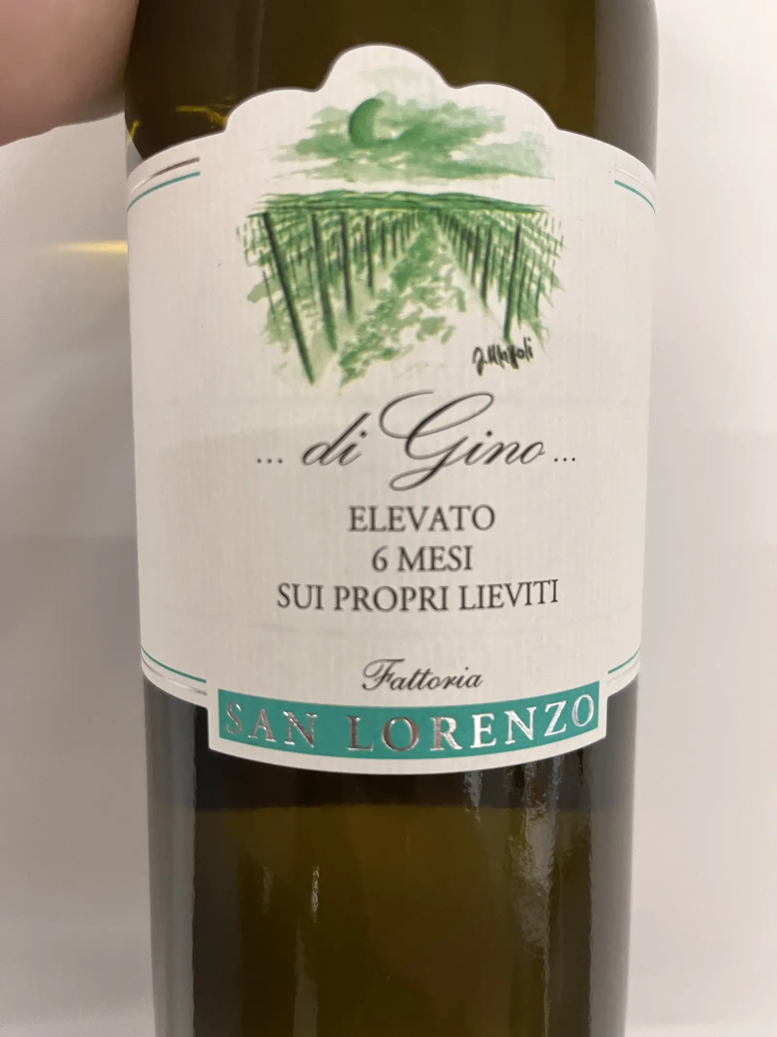 Fattoria San Lorenzo Marche Bianco di Gino 2021