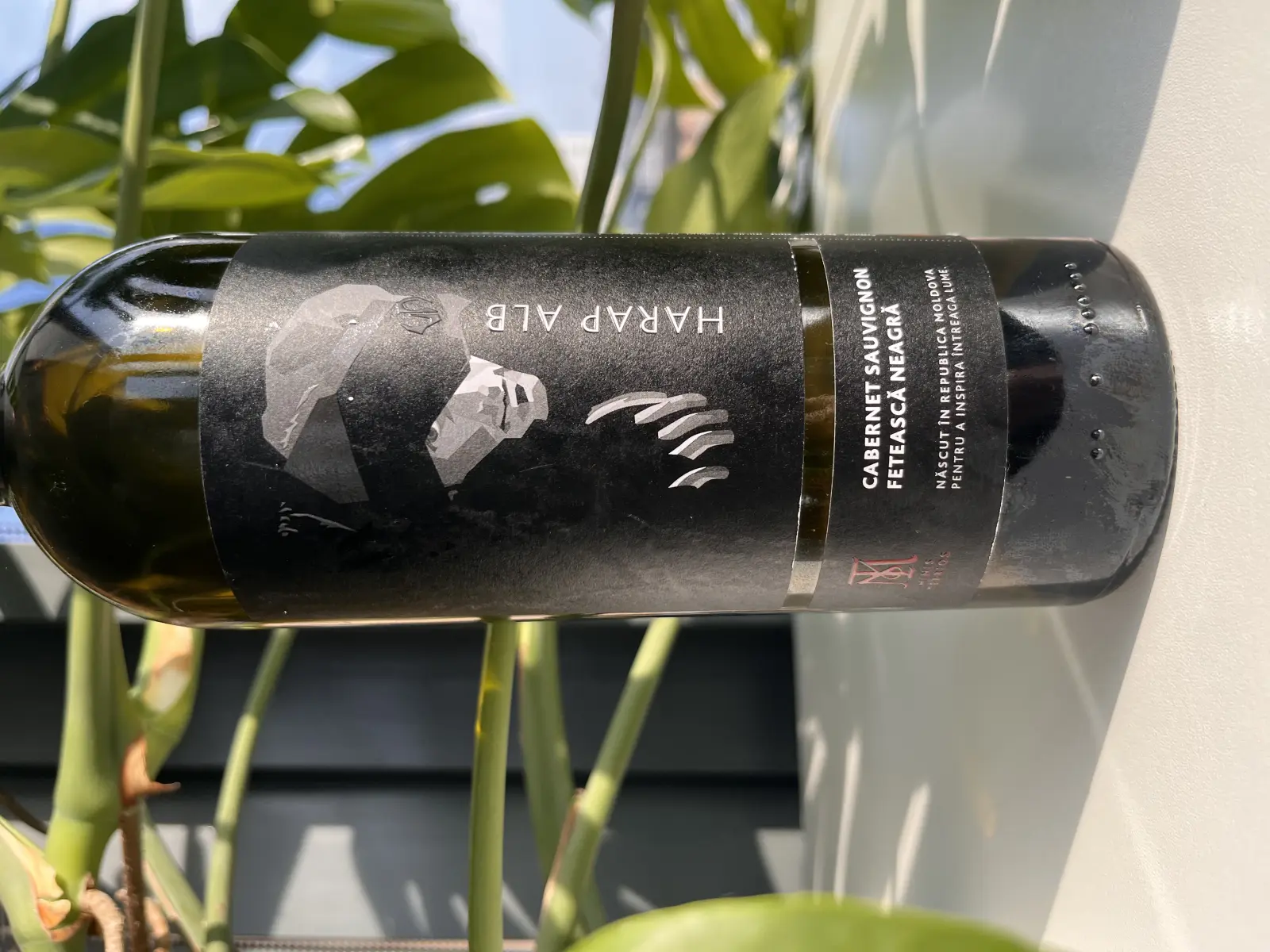 Minis Terrios Harap Alb 2022