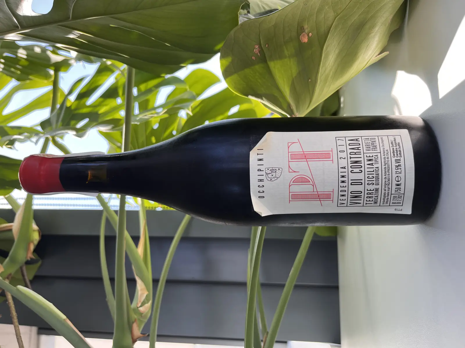 Arianna Occhipinti Pettineo PT 2017