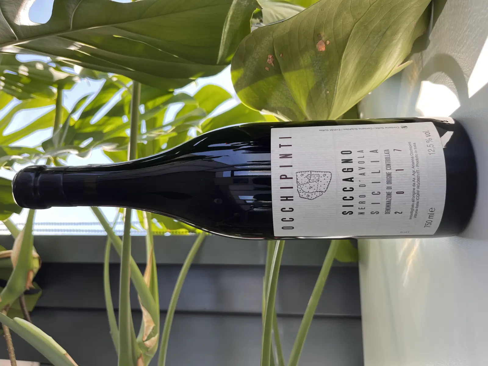 Arianna Occhipinti Siccagno 2017