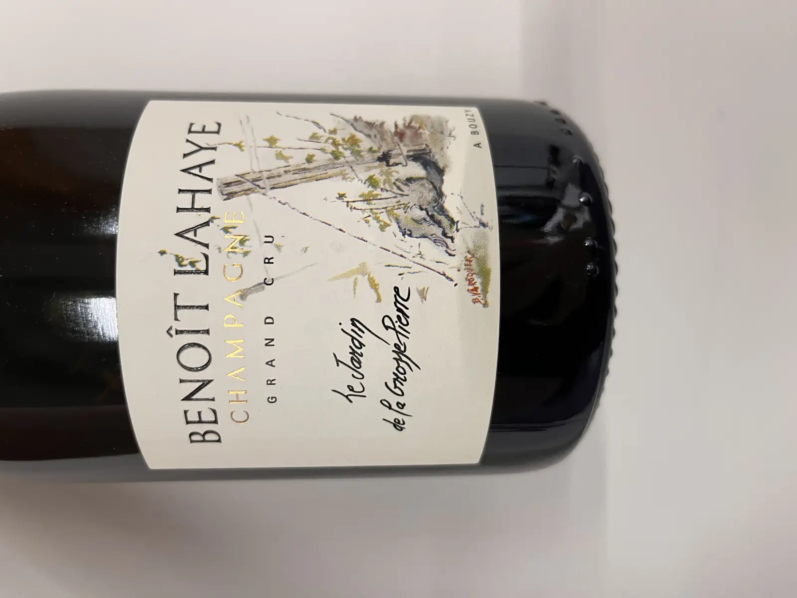 Benoît Lahaye Le Jardin de la Grosse Pierre 2017