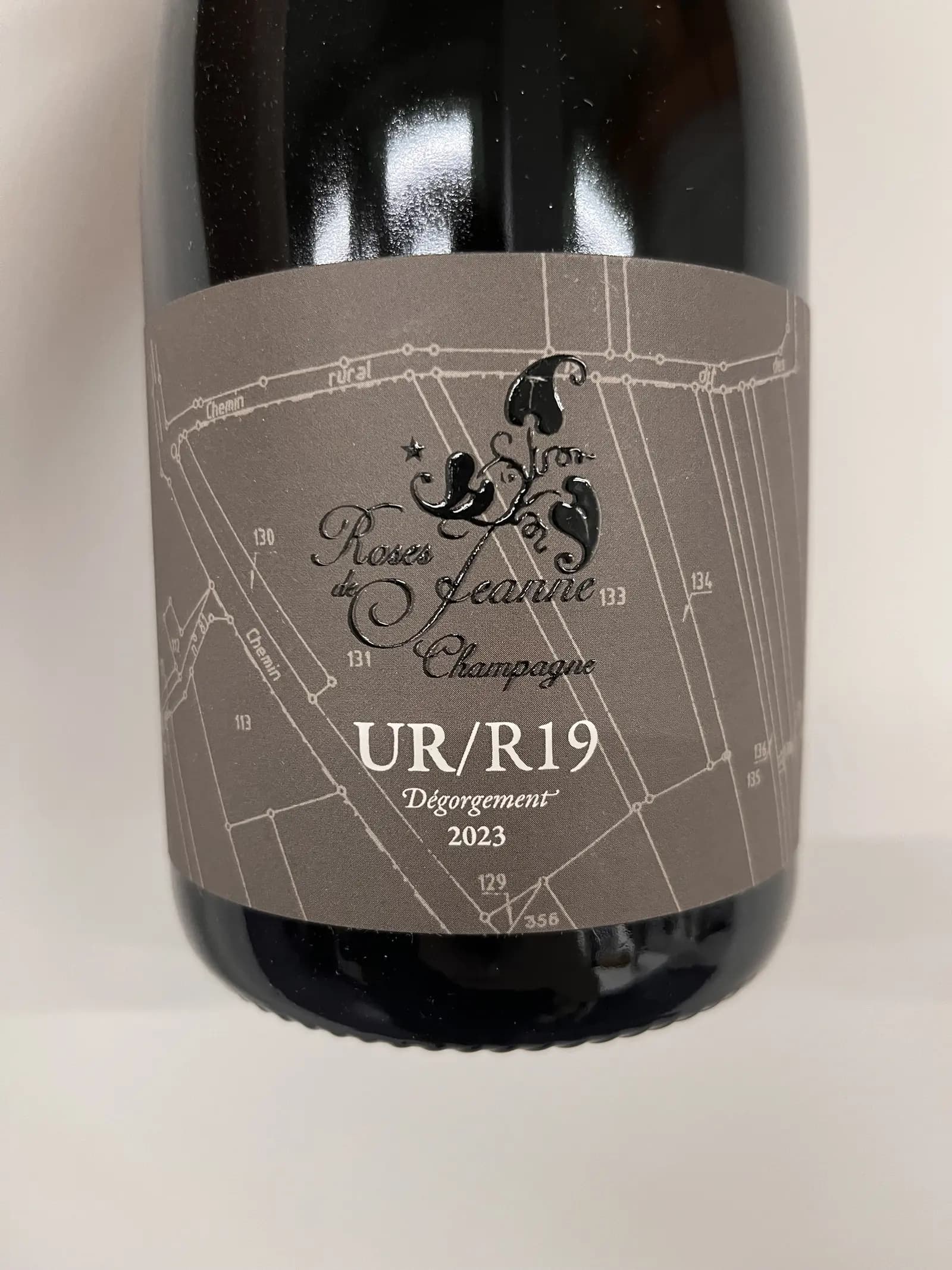 Roses de Jeanne Les Ursules UR/R19 2019