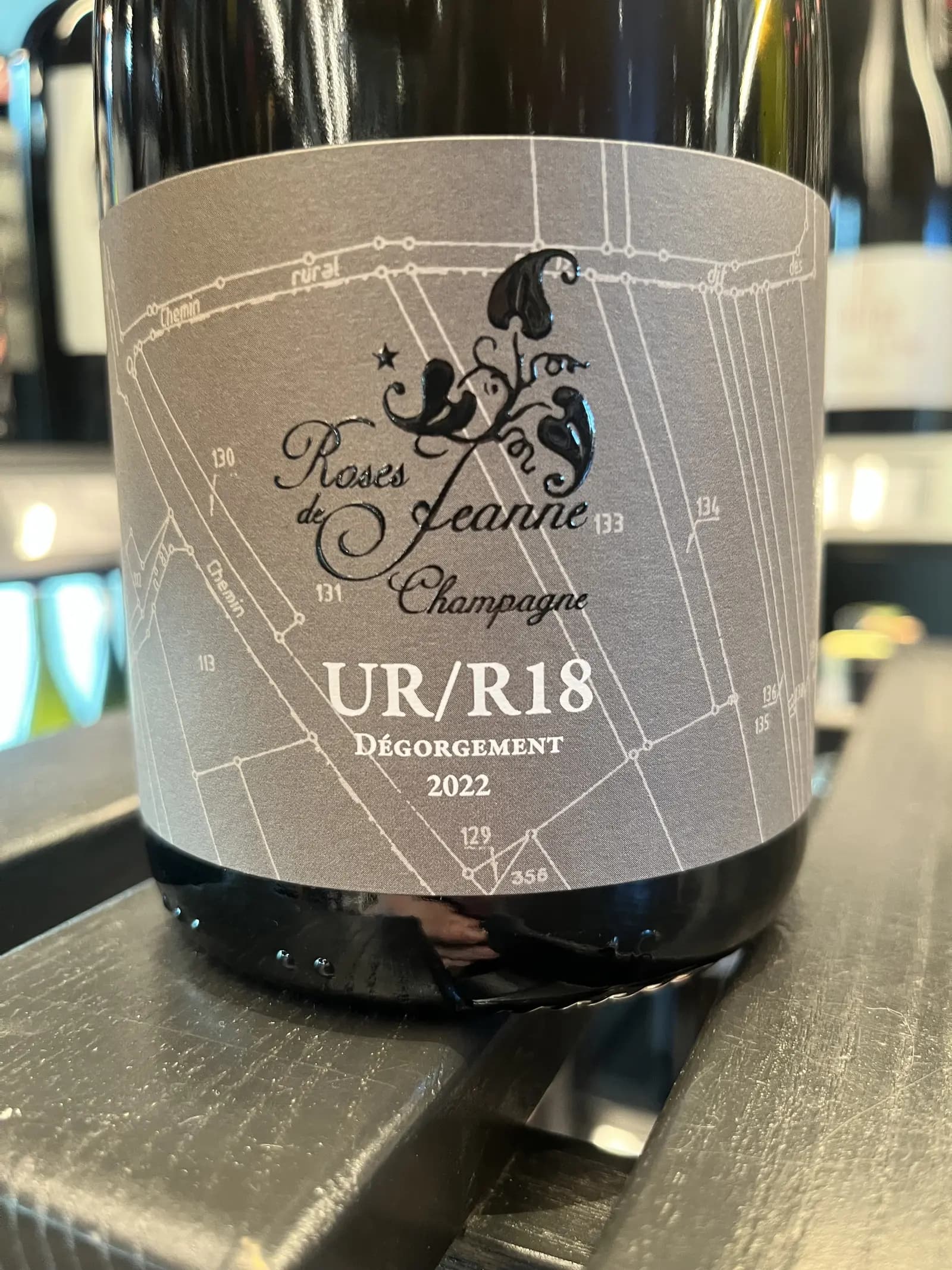 Roses de Jeanne Les Ursules UR/R18 2018