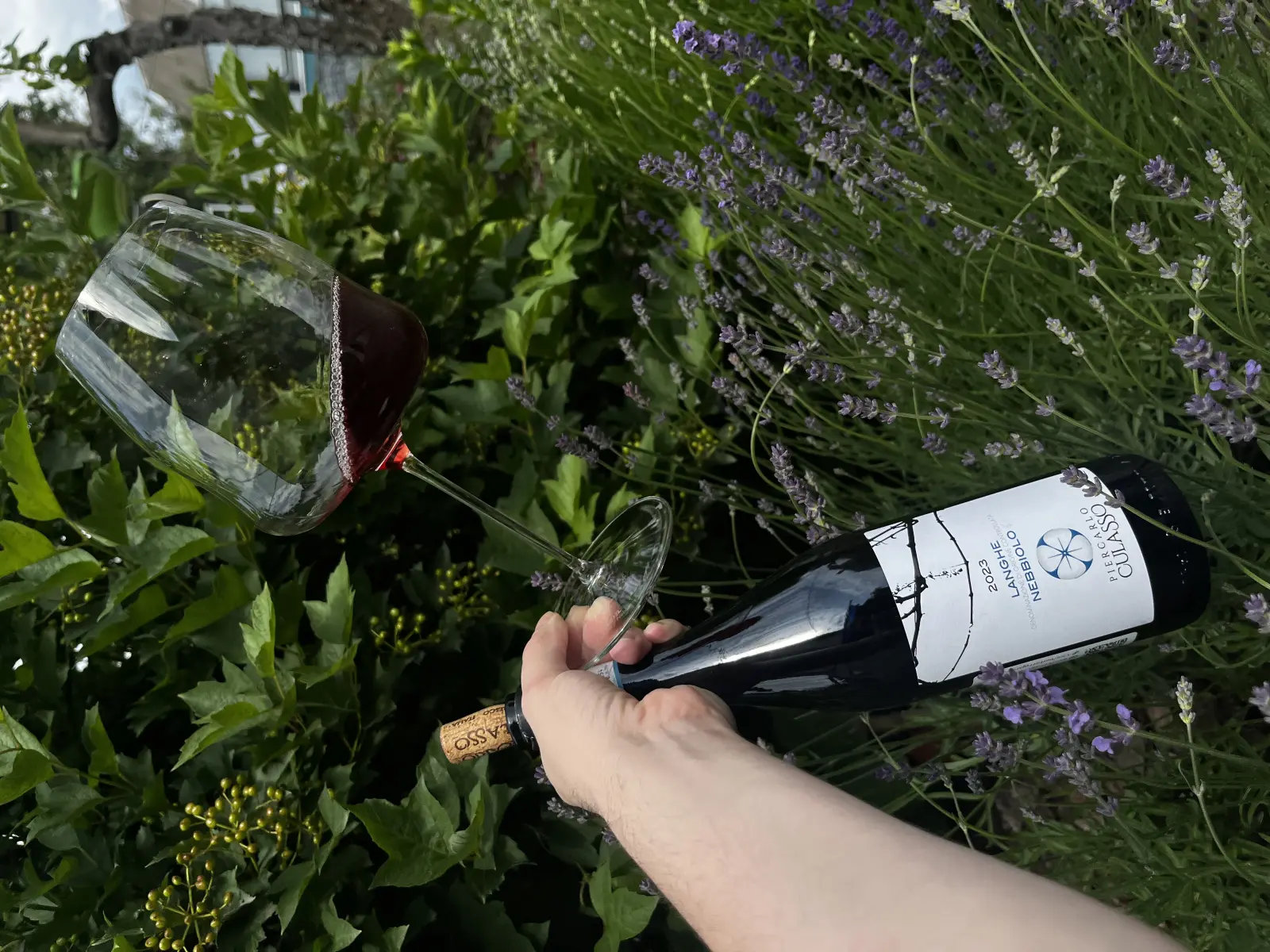 Piercarlo Culasso Langhe Nebbiolo 2023