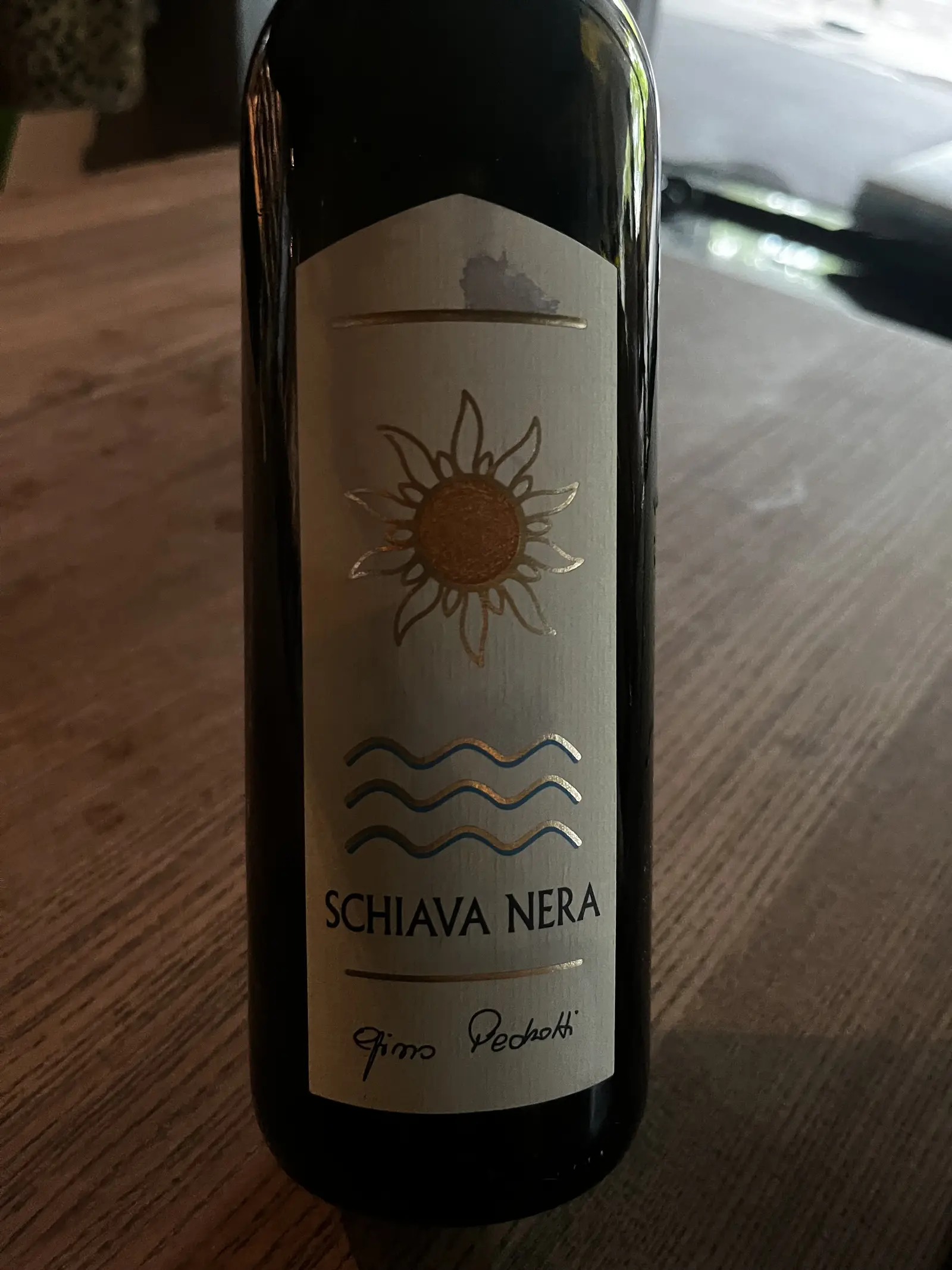 Gino Pedrotti Schiava Nera 2023