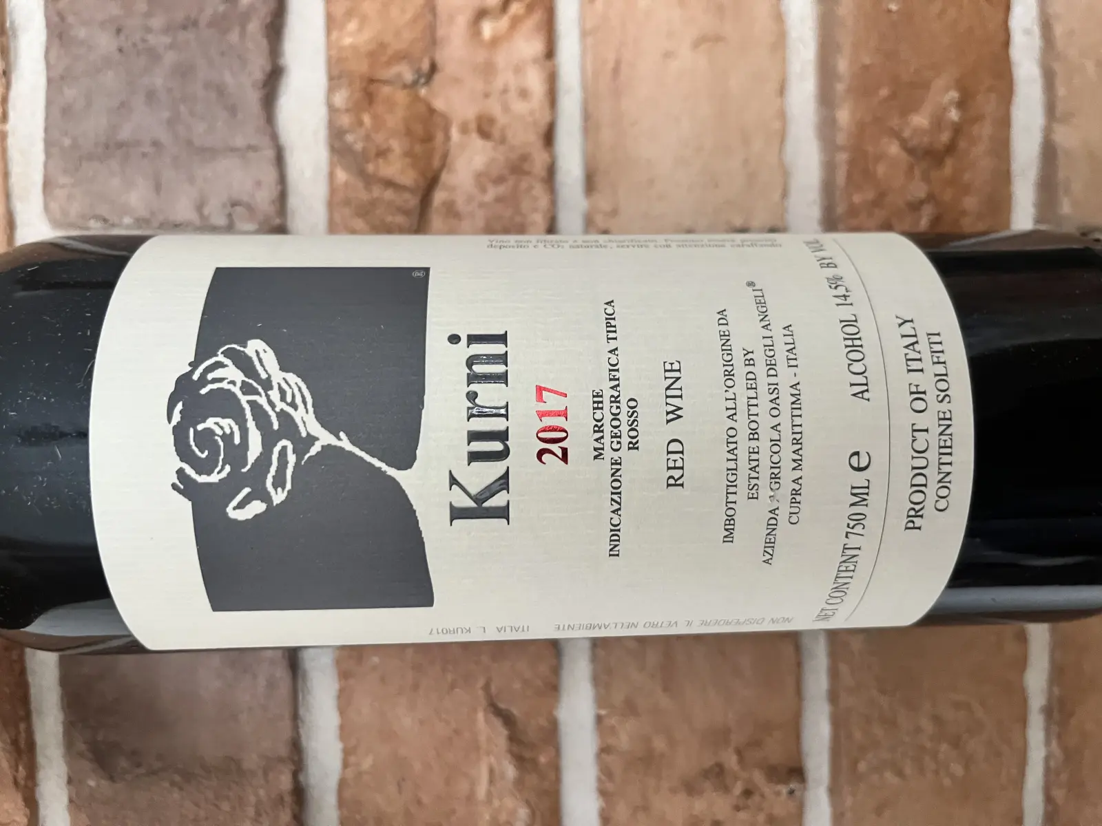 Oasi degli Angeli Kurni 2017