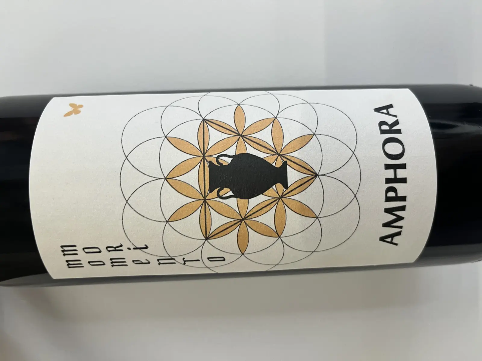 Momento Mori Amphora 2021