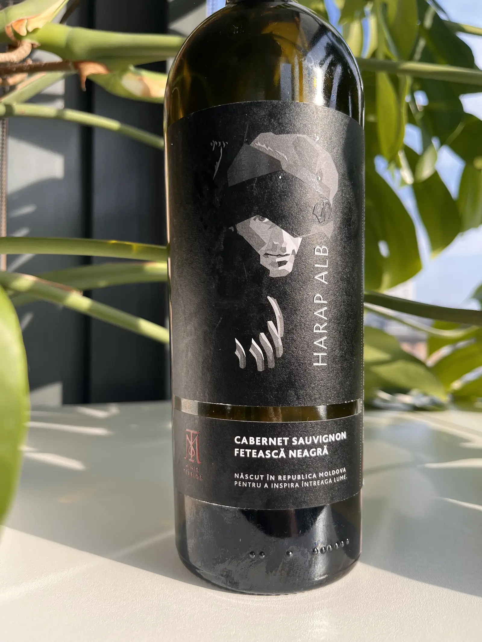 Minis Terrios Harap Alb 2022