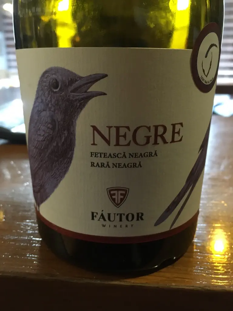 Fáutor Negre 2017