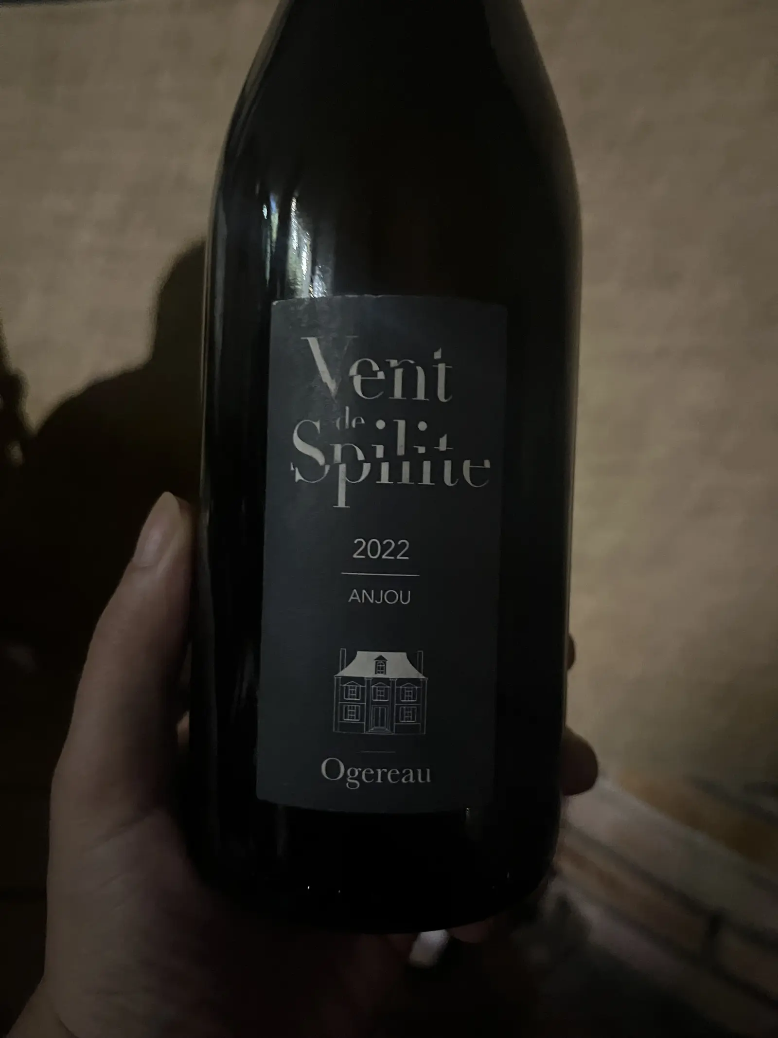 Ogereau Vent de Spilite 2022