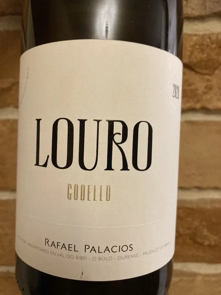 Descendientes de Jose Palacios Louro 2020