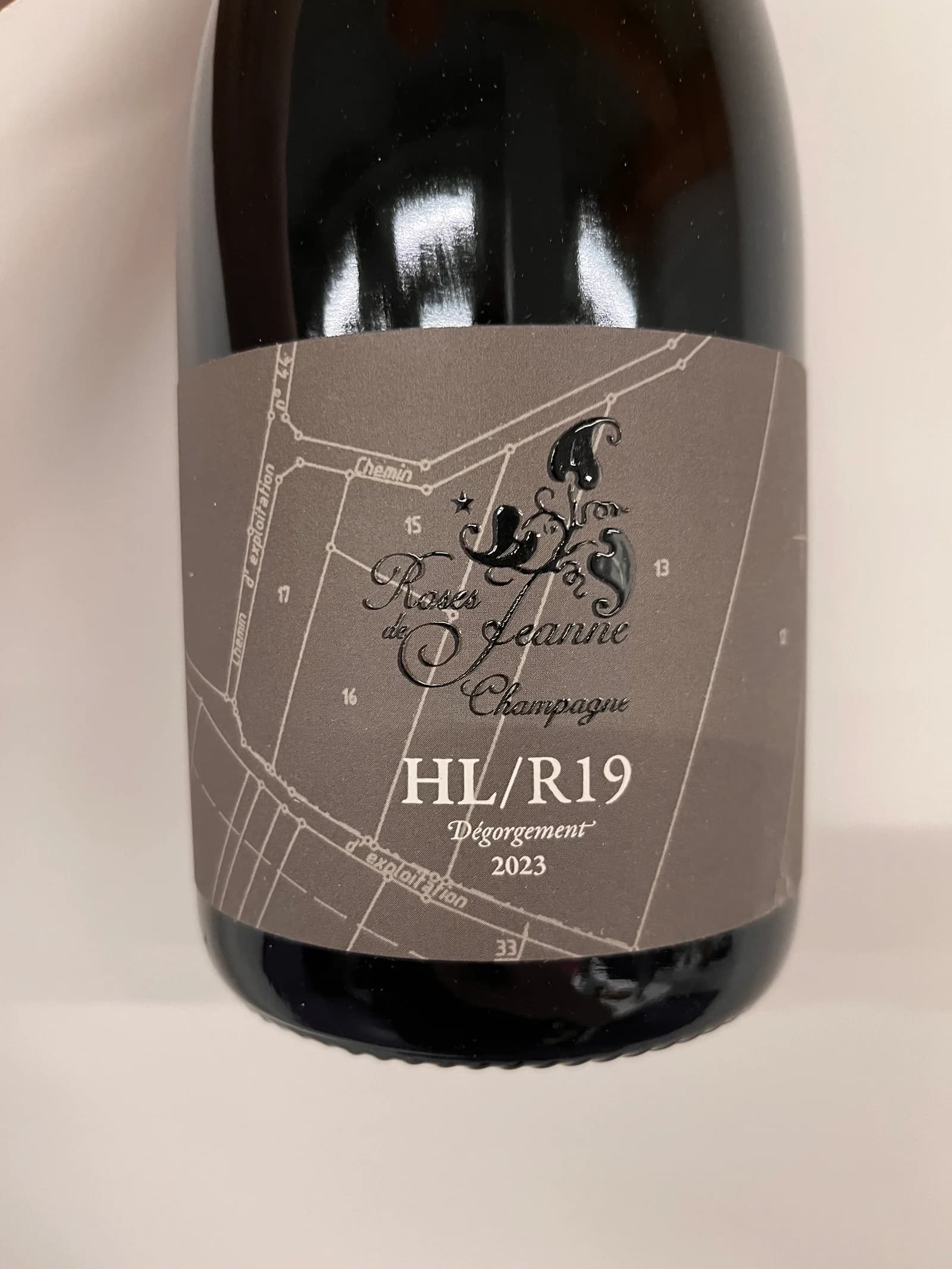 Roses de Jeanne Haute Lemble HL/R19 2019