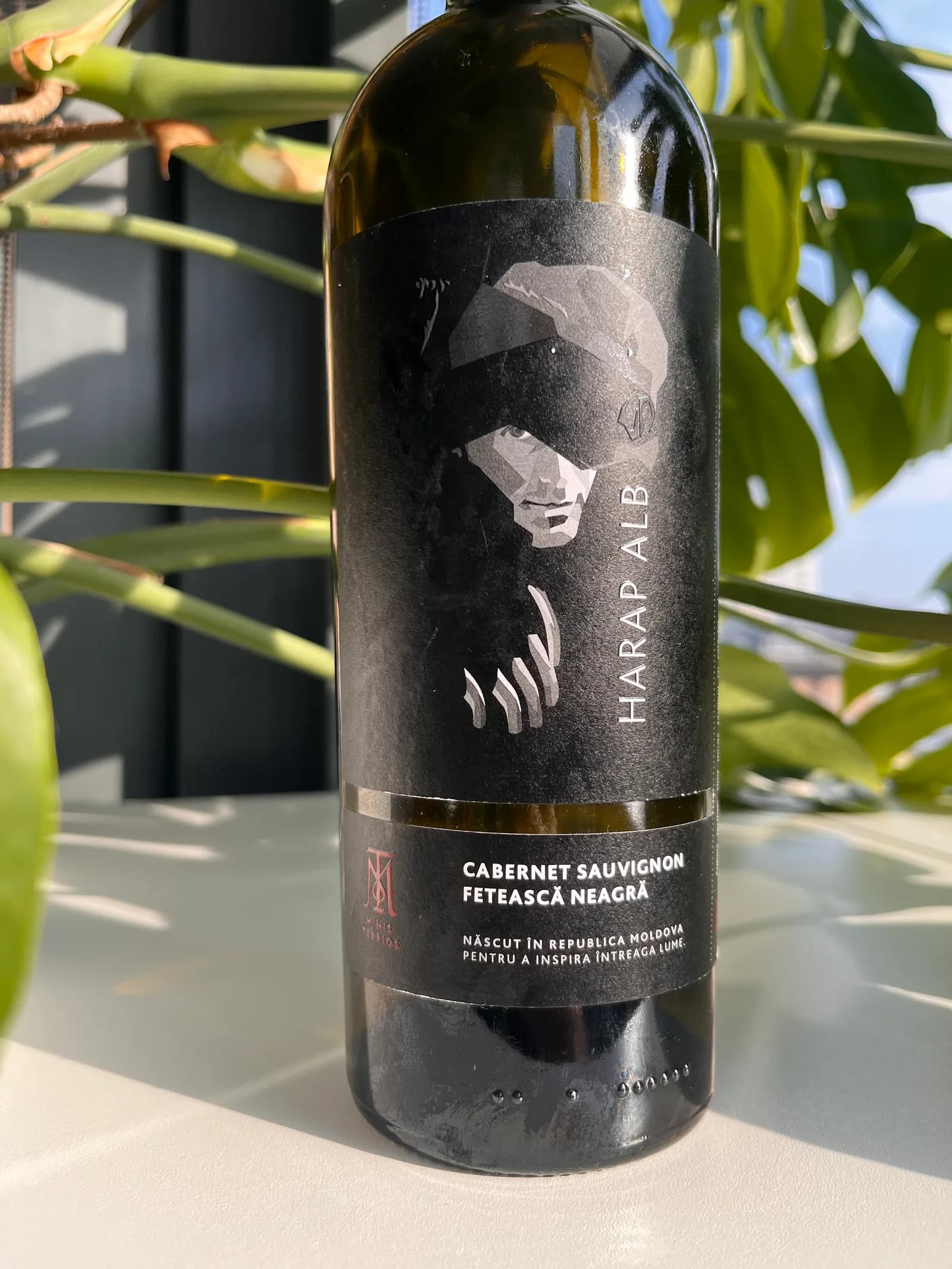 Minis Terrios Harap Alb 2022