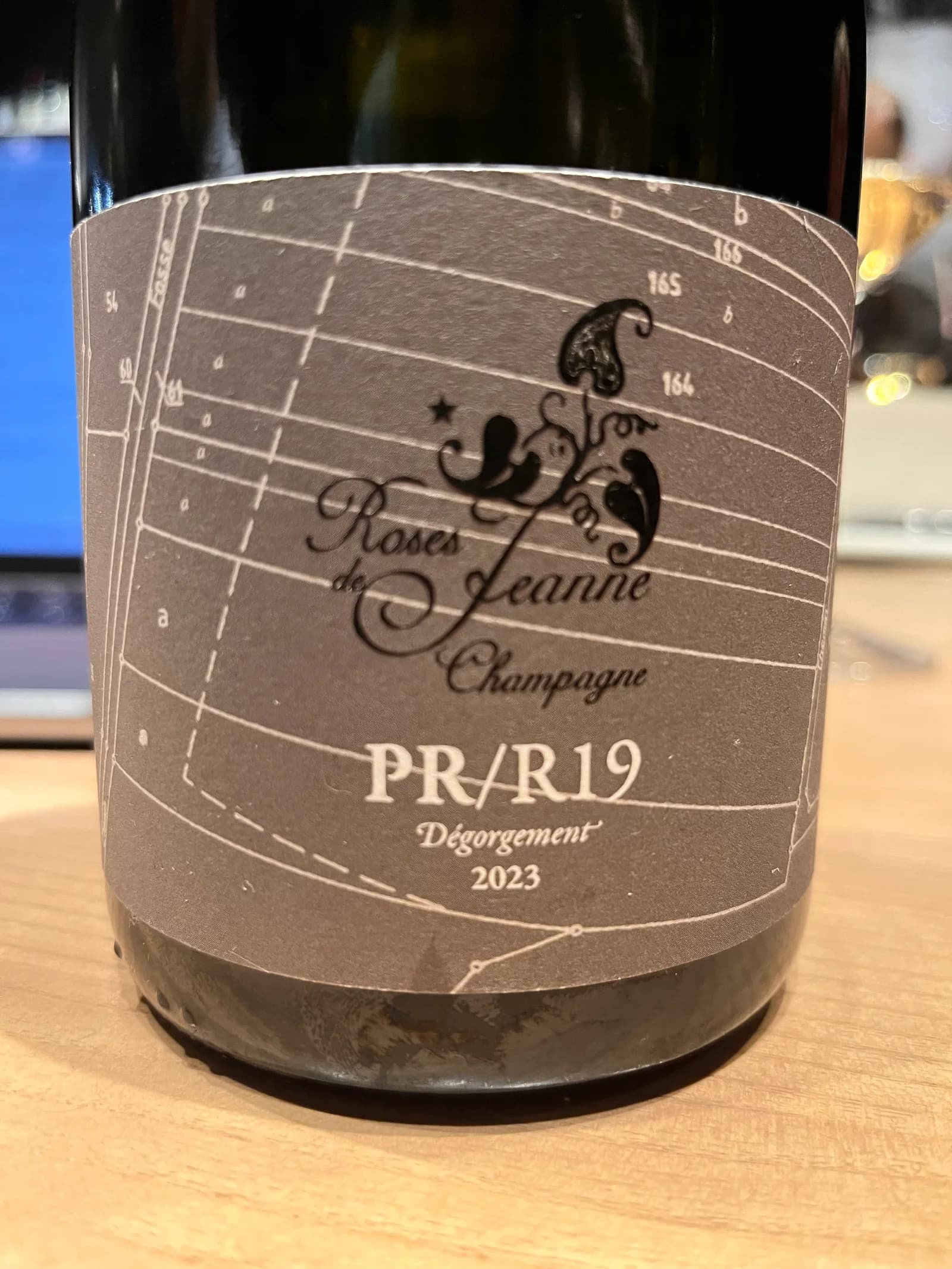 Roses de Jeanne Presle PR/R19 2019