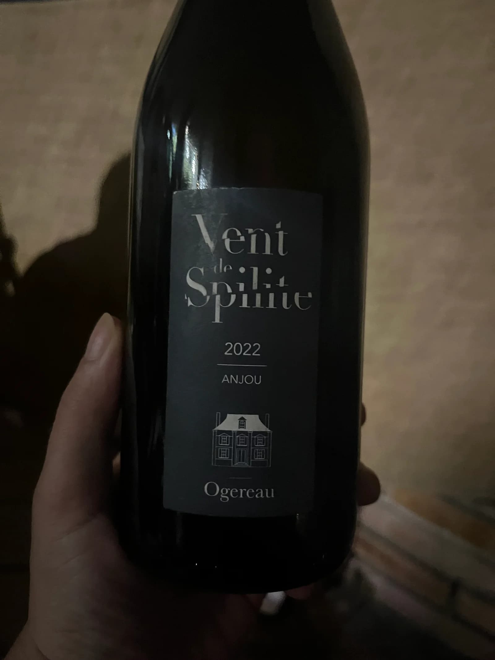 Ogereau Vent de Spilite 2022