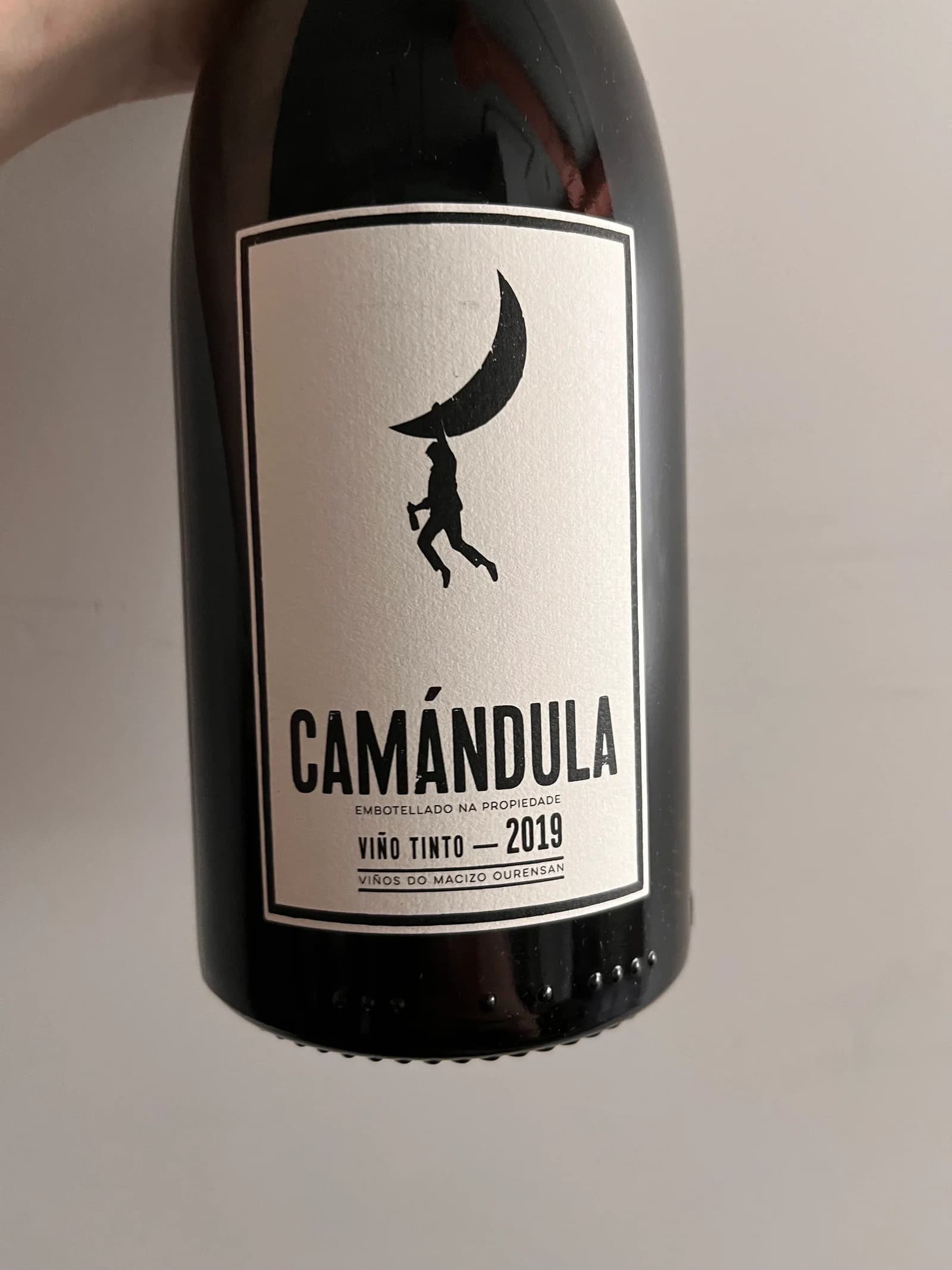 Peixes Camándula 2019