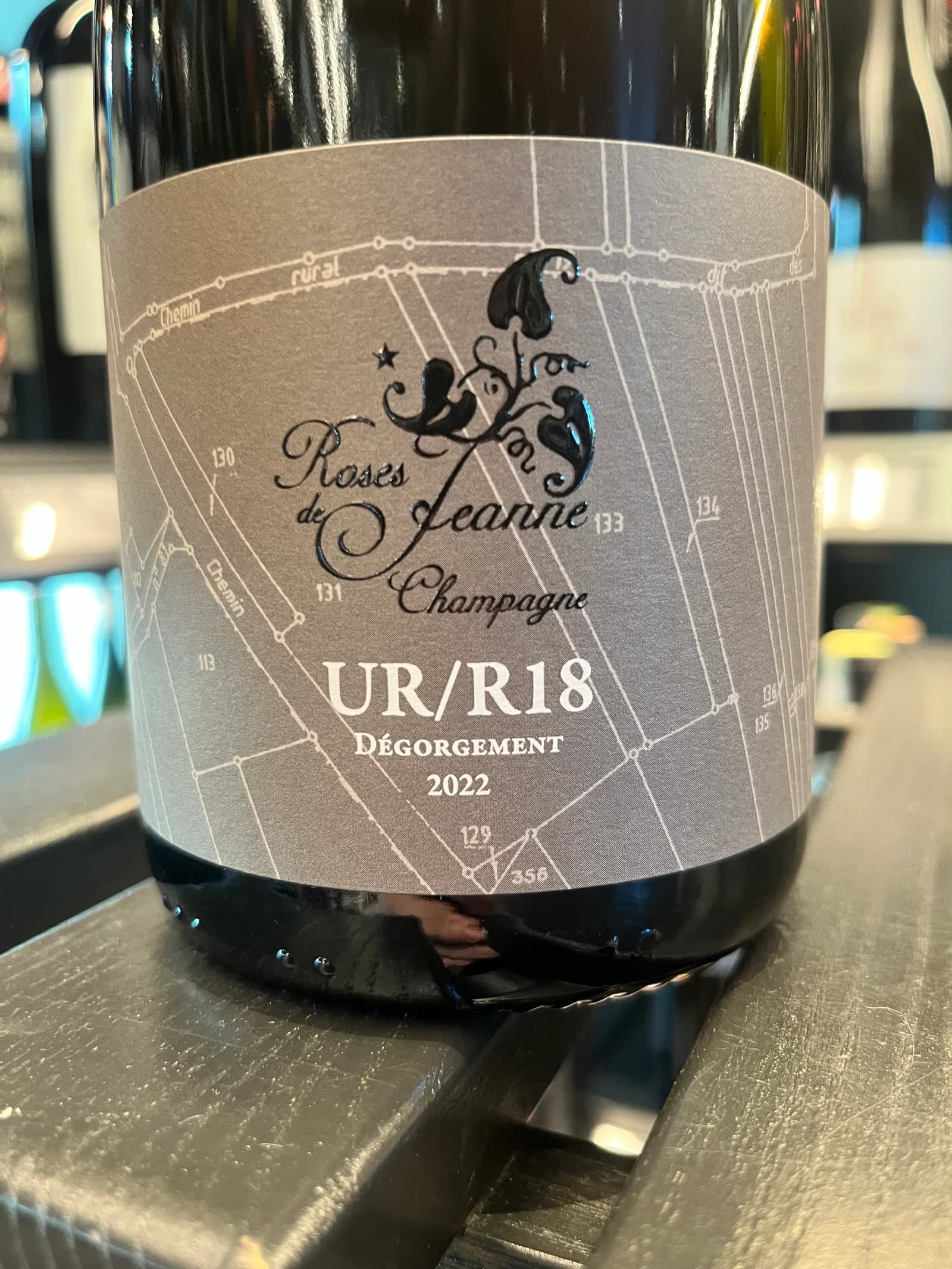 Roses de Jeanne Les Ursules UR/R18 2018