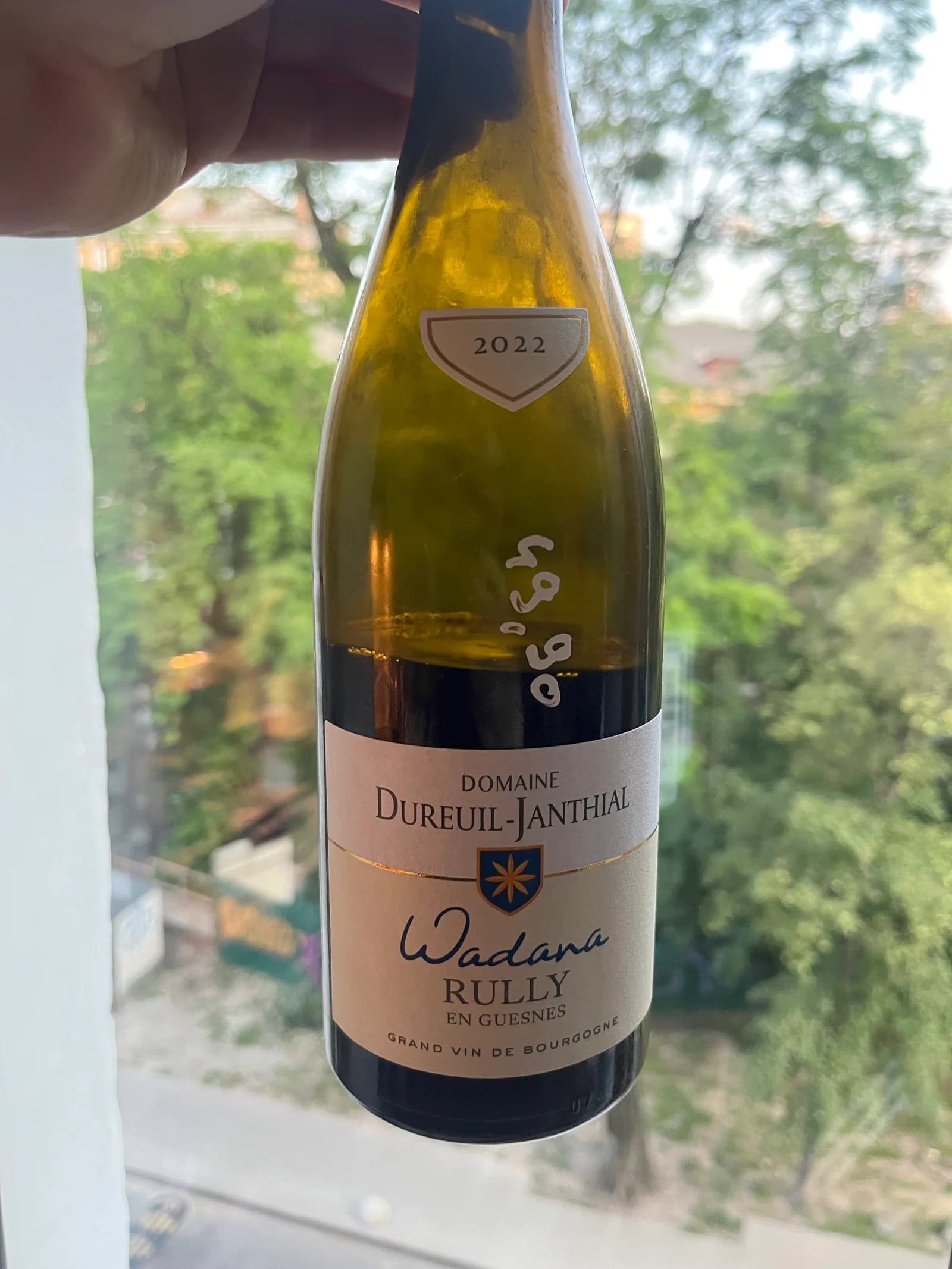 Domaine Dureuil-Janthial Wadana Rully En Guesnes 2022