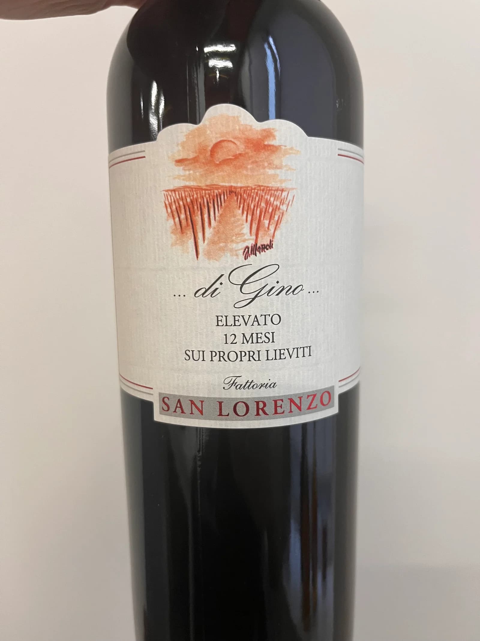Fattoria San Lorenzo Marche Rosso di Gino 2020