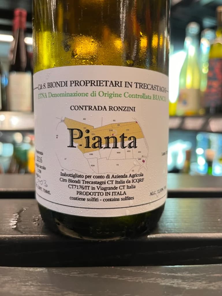 Biondi Pianta 2016